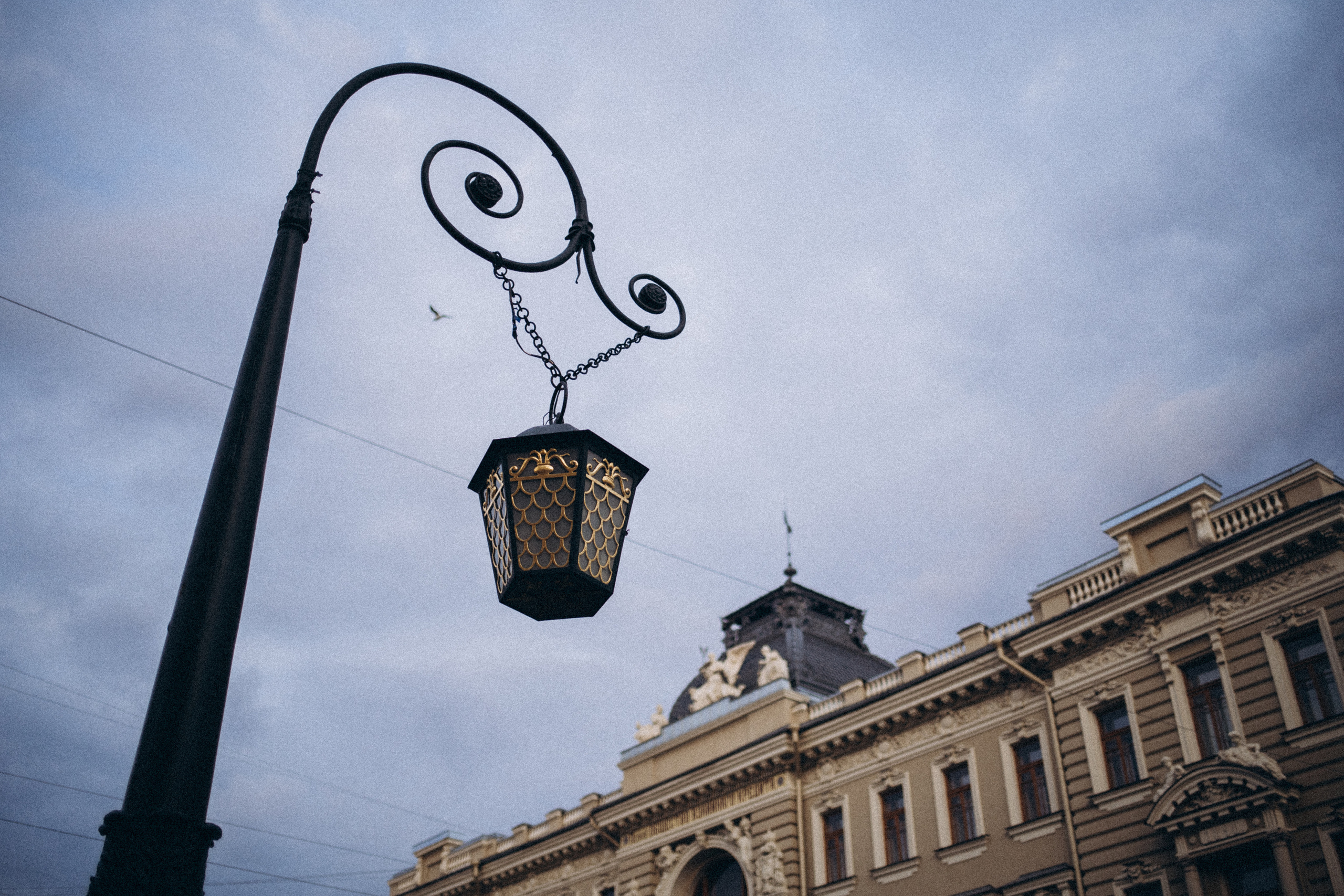 Лето. Рассвет. Питер. Даша Яковенко Фотограф Спб