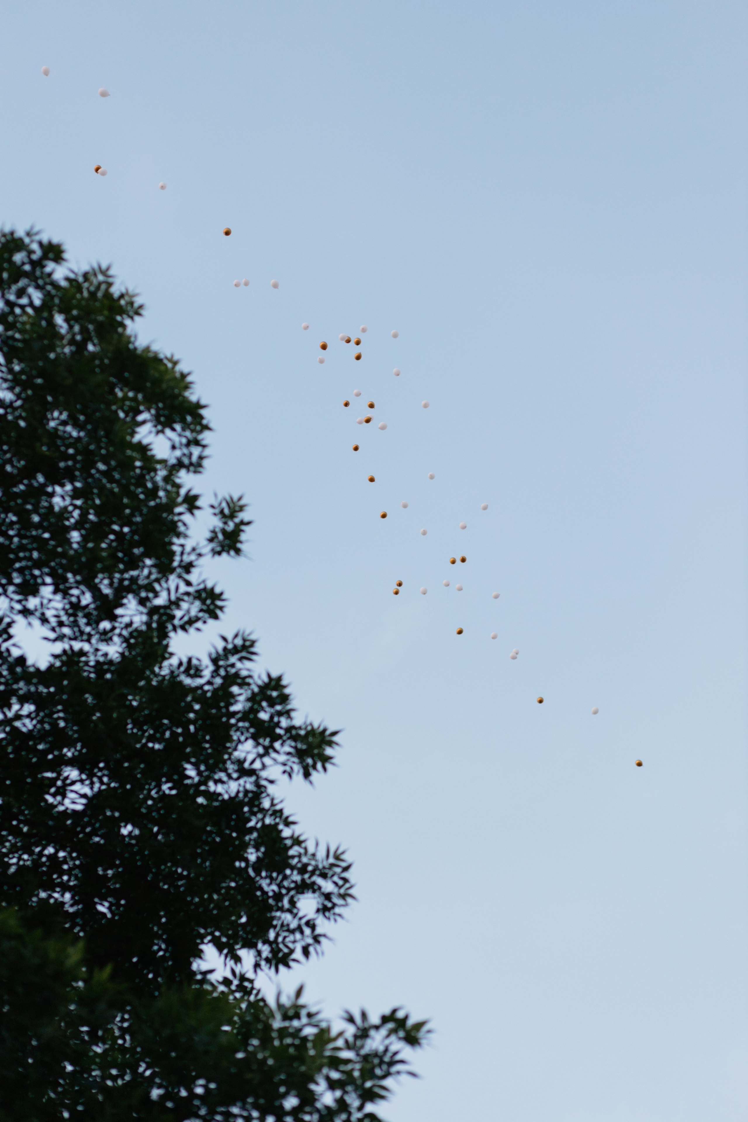 Выпускной Гимназия № 146. Свадебный фотограф в Минске Владислав Бабич