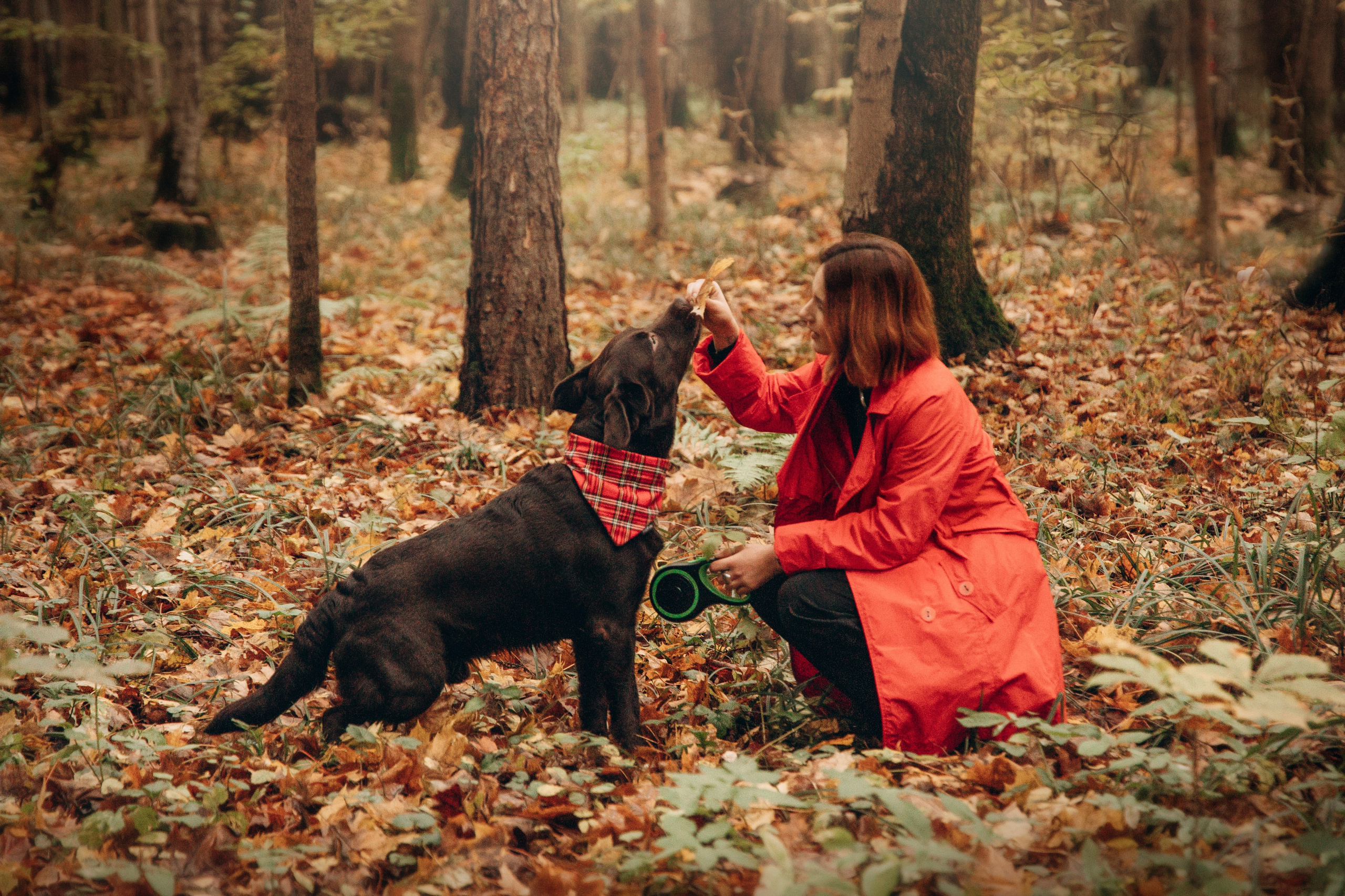 Арина и Сэмми. Фотограф — Анималист | Санкт-Петербург