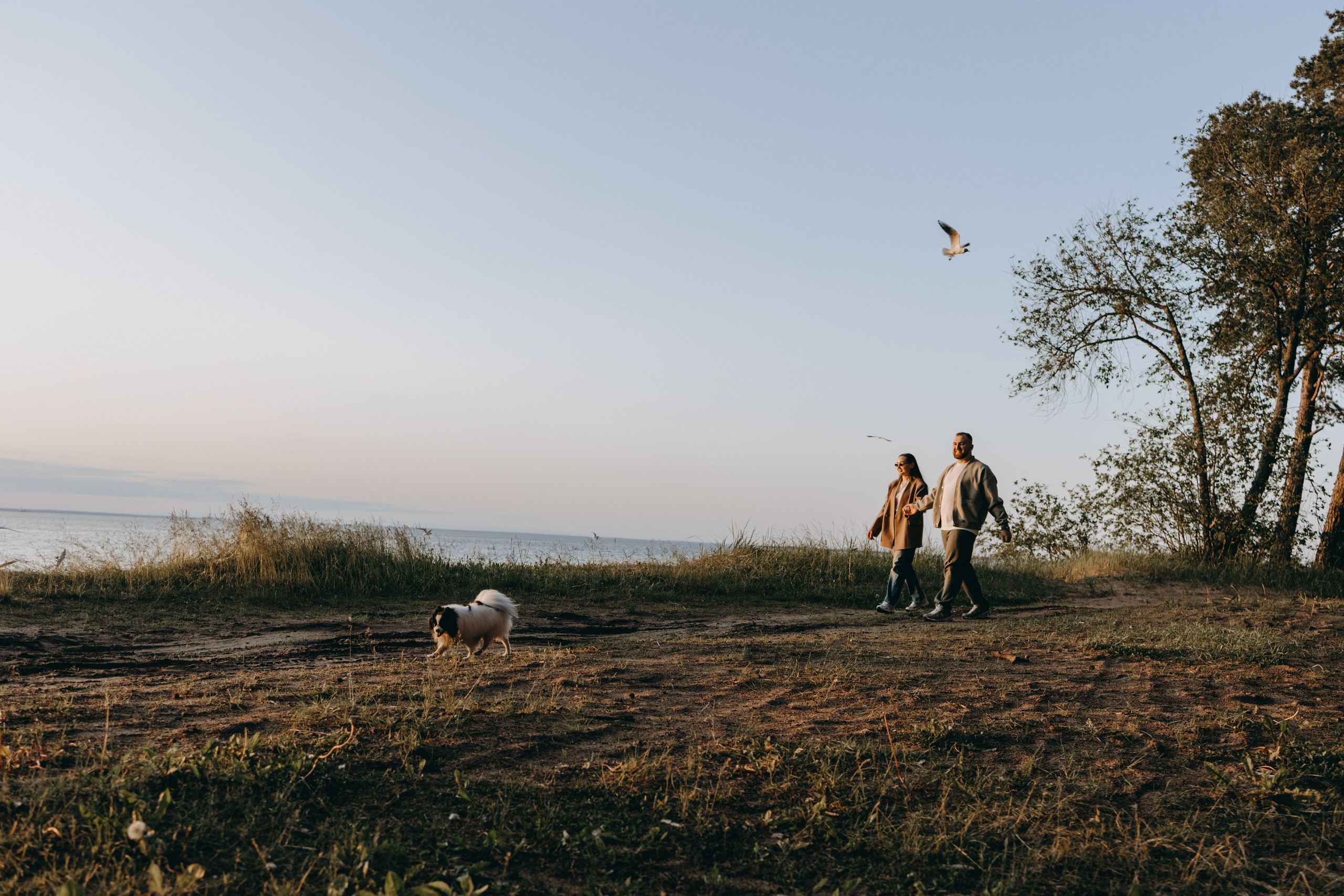 Диана и ее мальчики. Фотограф — Анималист | Санкт-Петербург