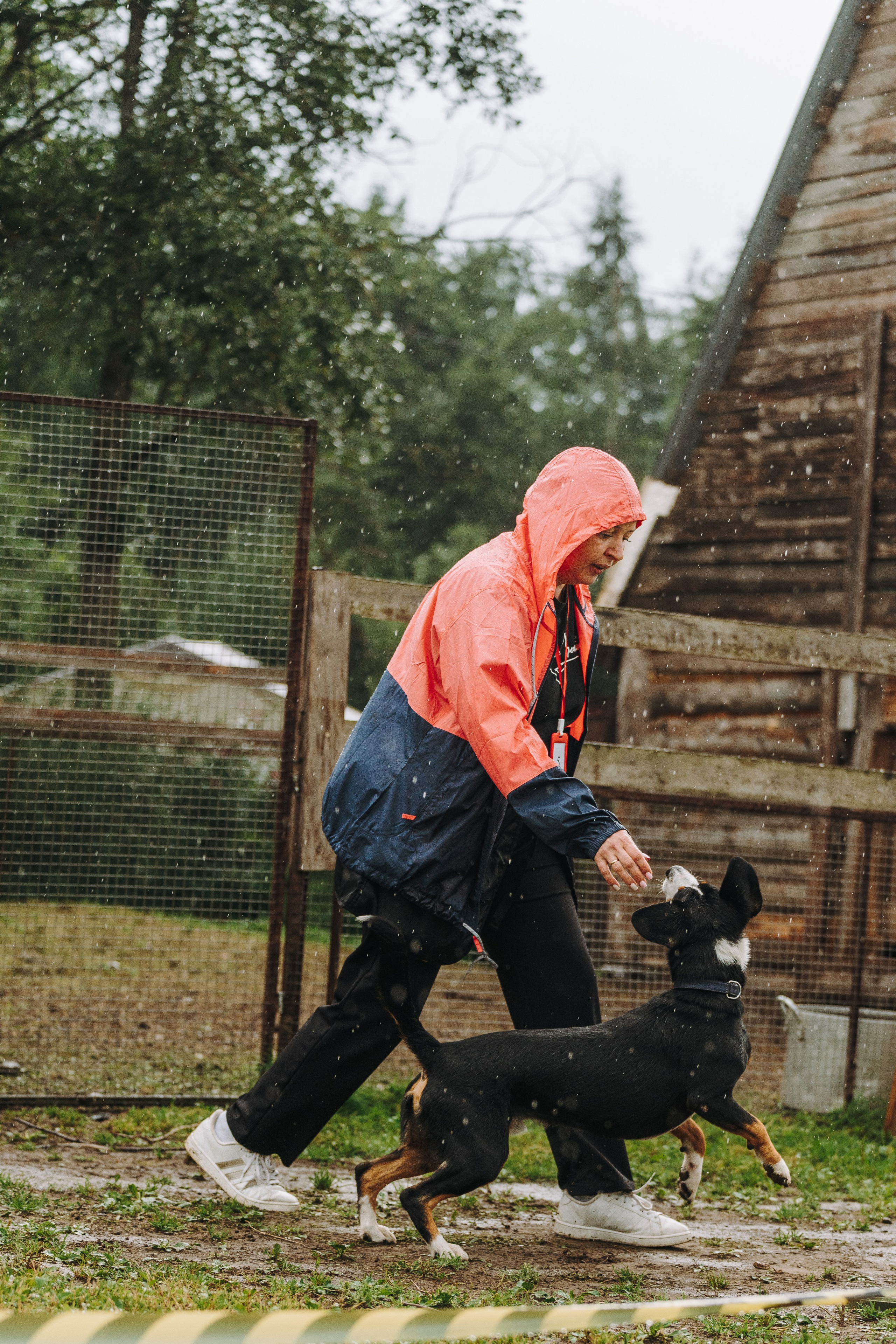 Соревнования по ноузворку в Новожилово. Фотограф анималист в Спб недорого Олеся Майорова