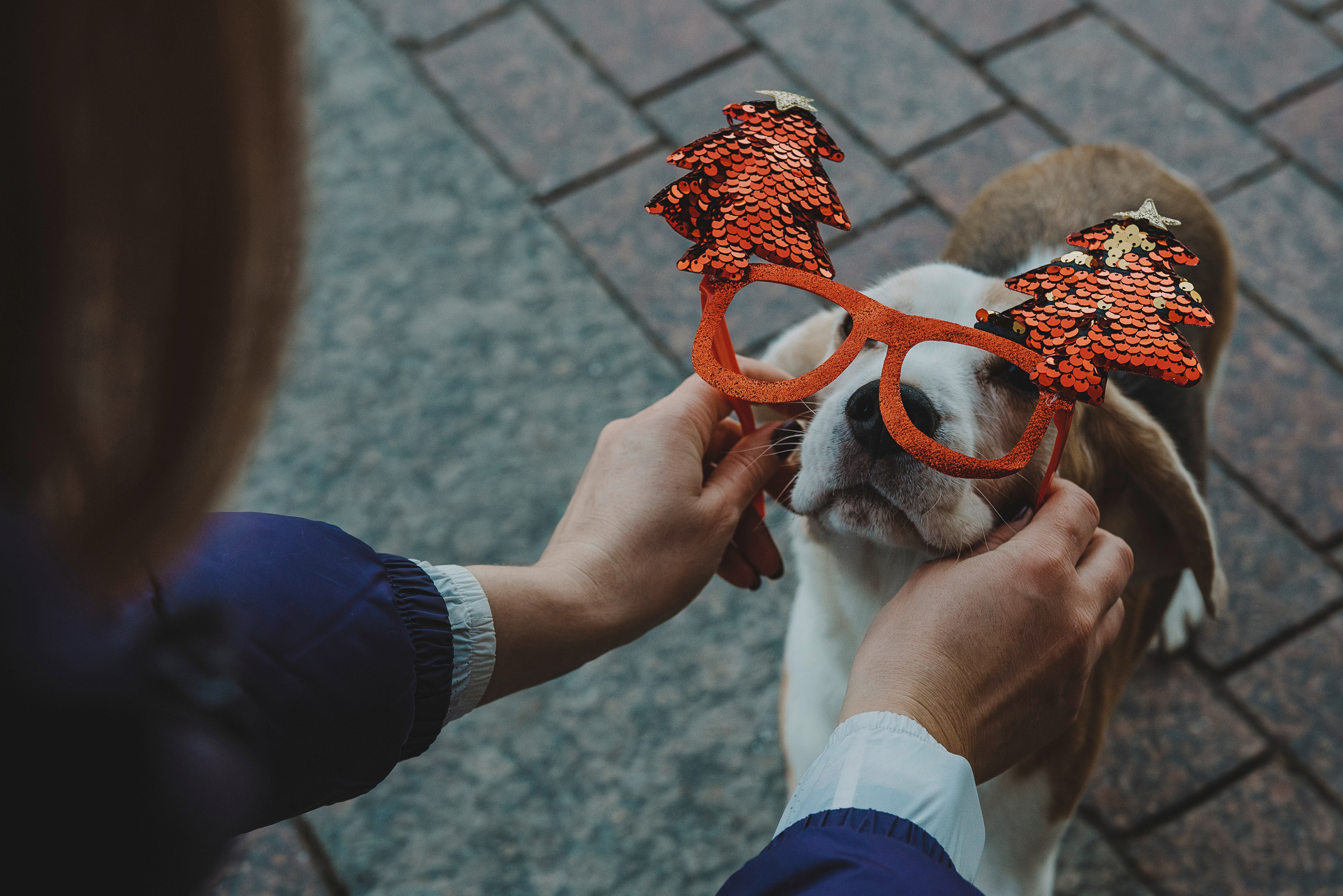 Ксения и Гаечка. Фотограф анималист в Спб недорого Олеся Майорова