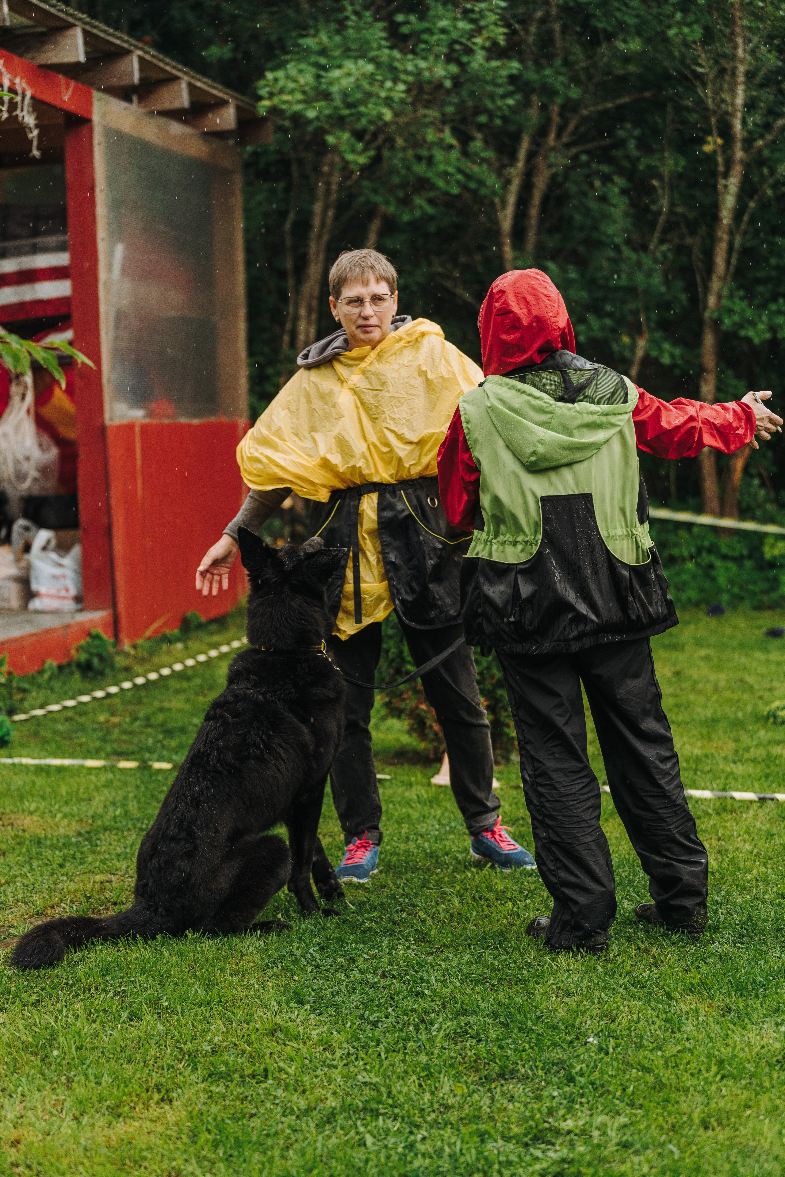 Соревнования по ноузворку в Новожилово. Фотограф анималист в Спб недорого Олеся Майорова