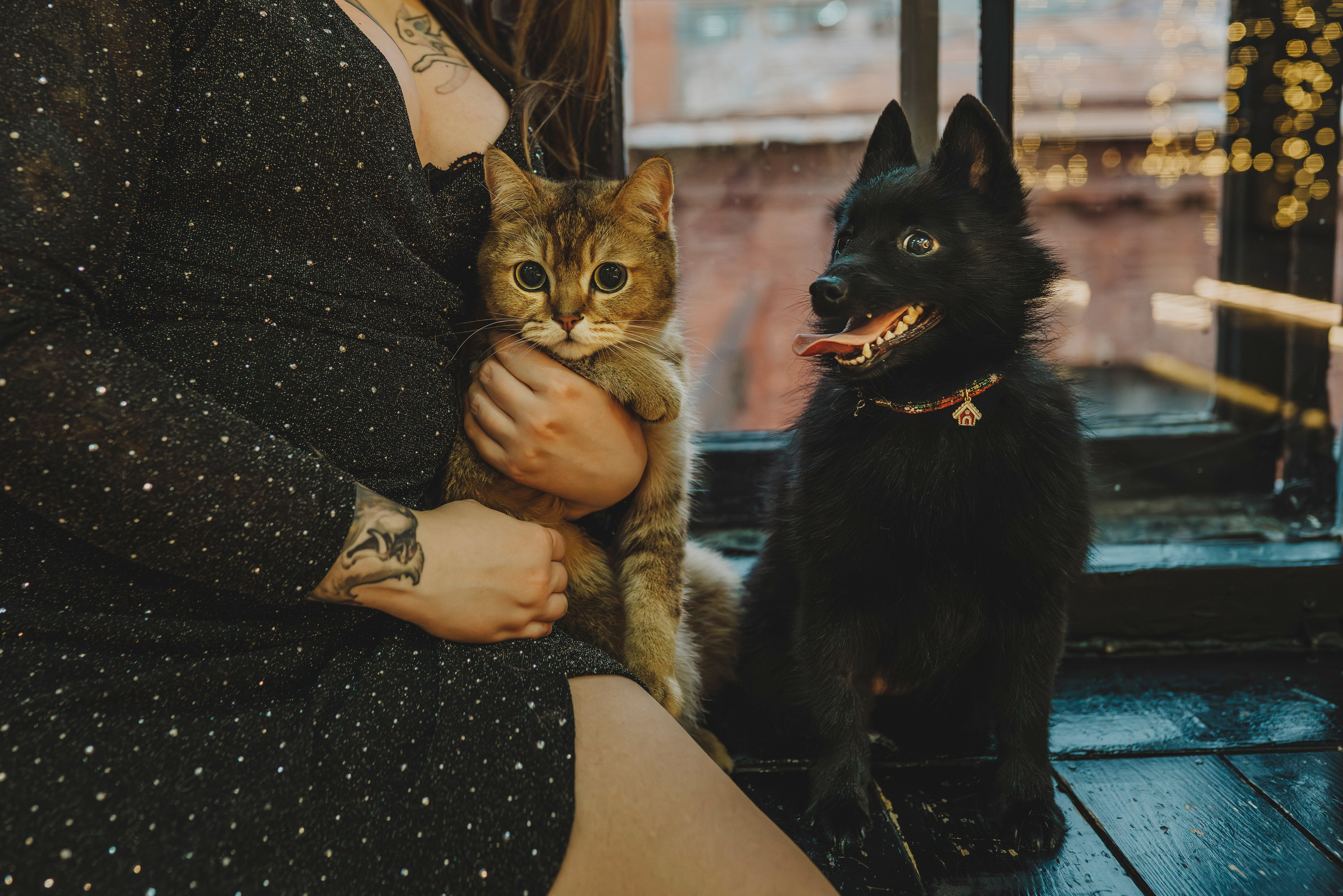 Аня, Андуин и Тесс. Фотограф анималист в Спб недорого Олеся Майорова