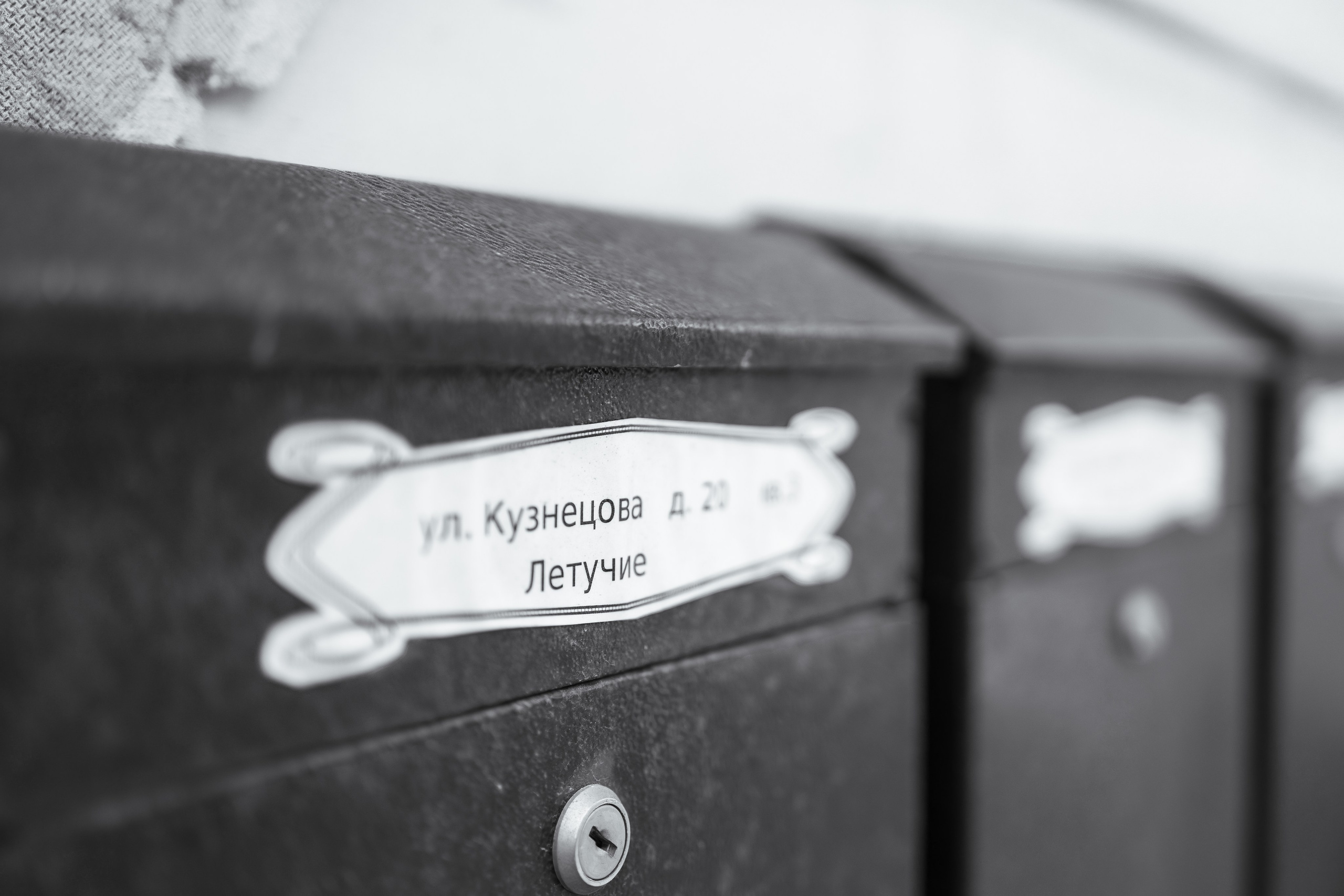 Елена и Елисей. Екатерина Пашкова, фотограф, видеограф в Томске