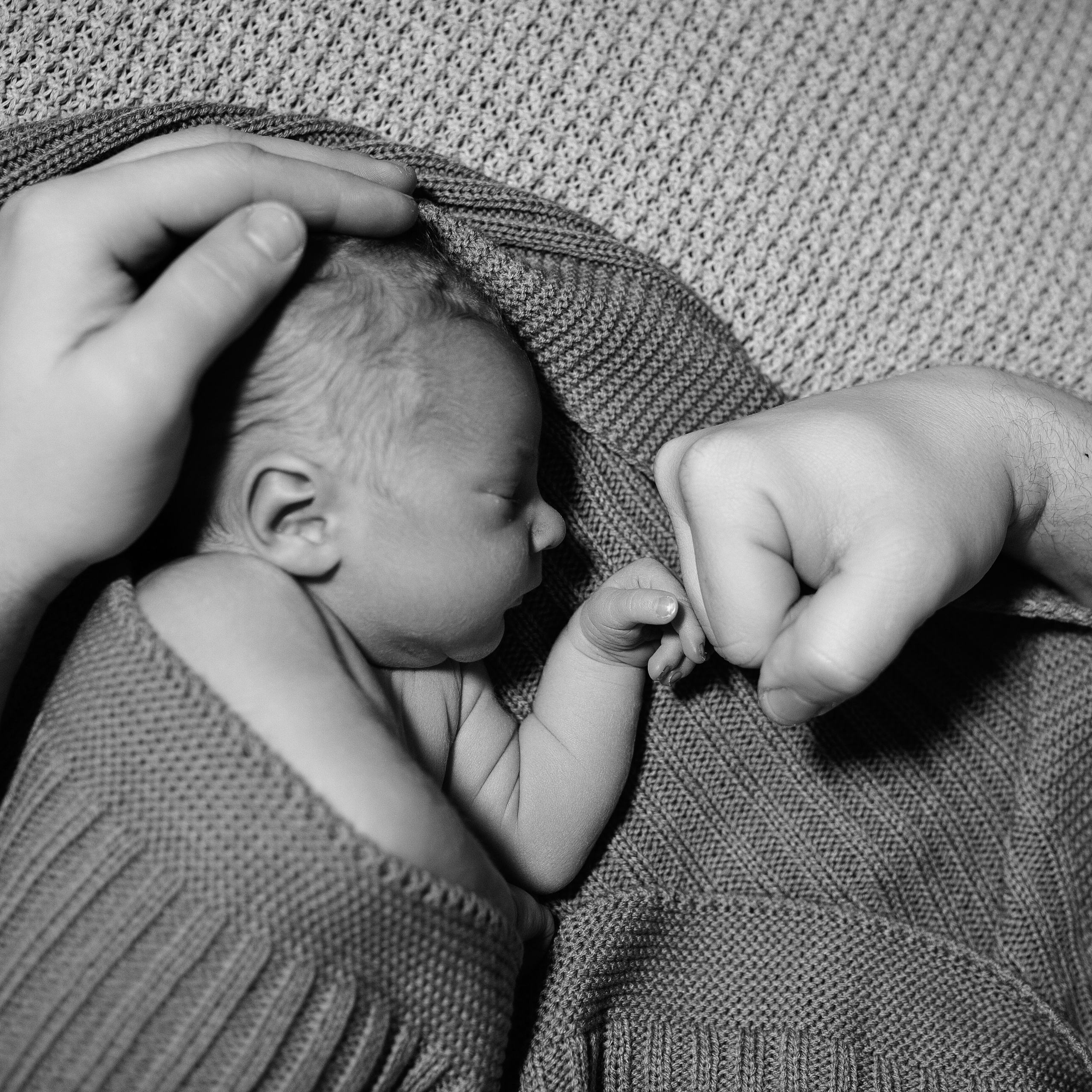 Family. Семейный и детский фотограф в Строгино Екатерина Кутузова