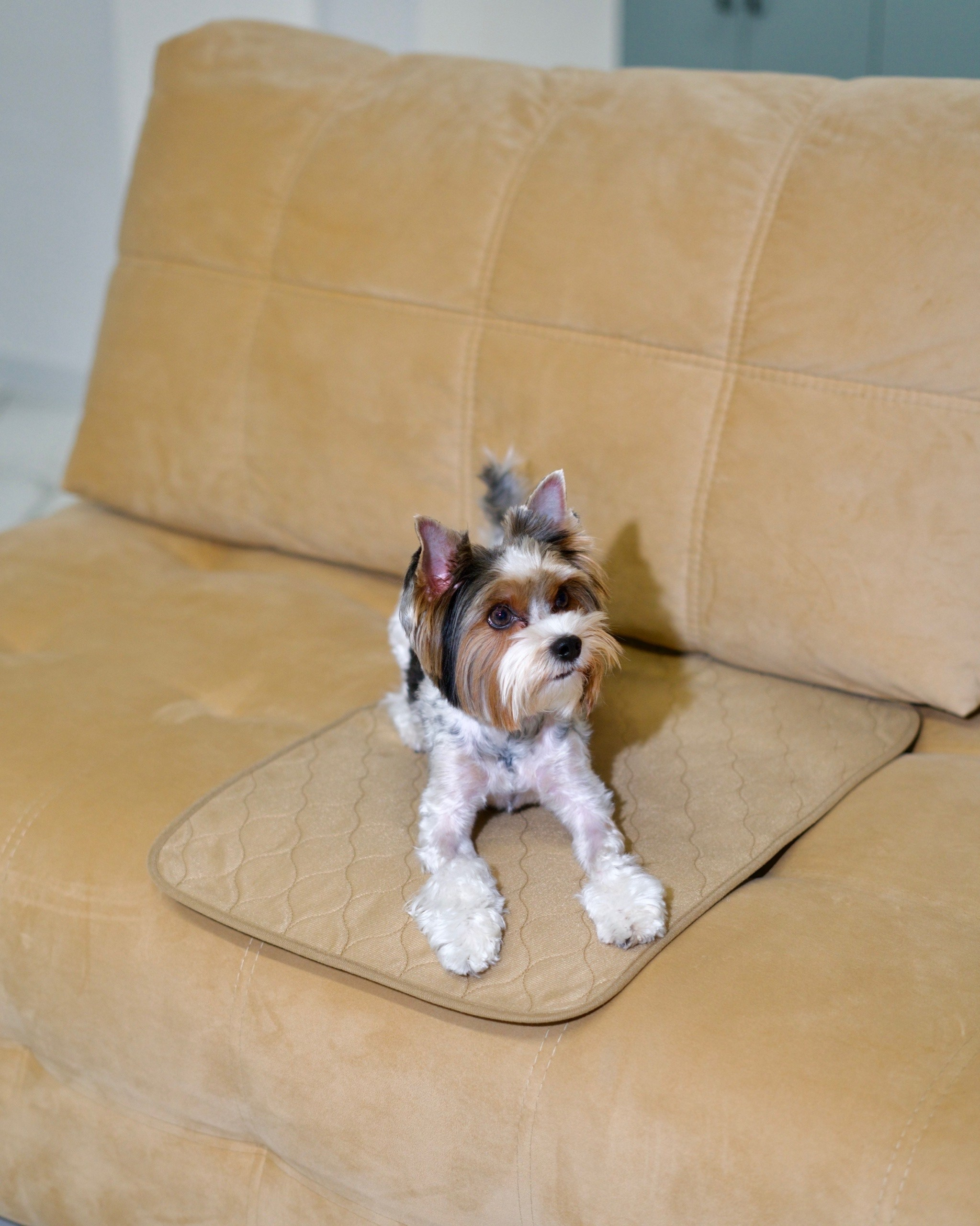 Stefan | Товары для маркетплейсов. Фотограф Александра Волкова | Волгоград