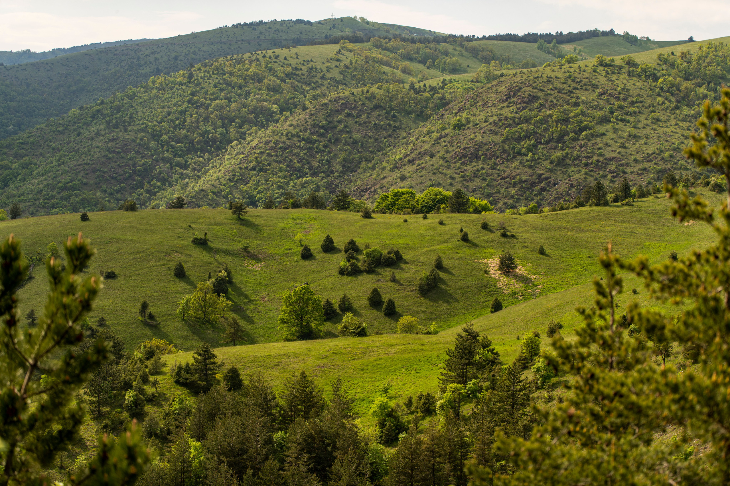 Столови. Сербия. Фотограф в Москве. Шахабудин