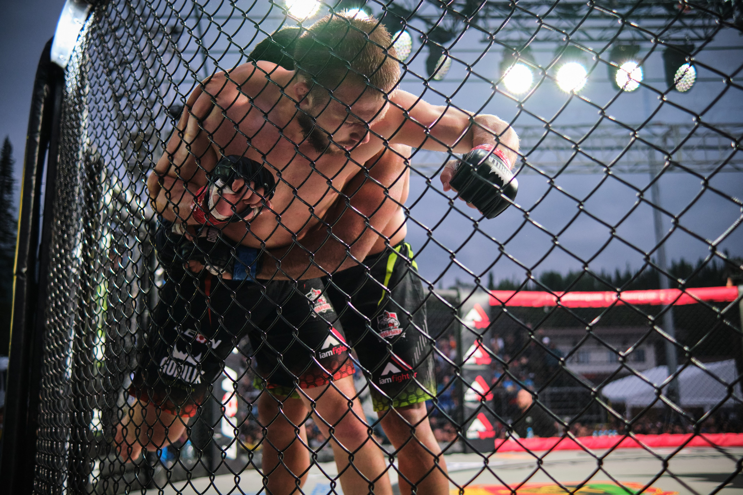 ММА на ПРО ГЕШ. Свадебный и семейный фотограф в Новокузнецке Иван Иванов