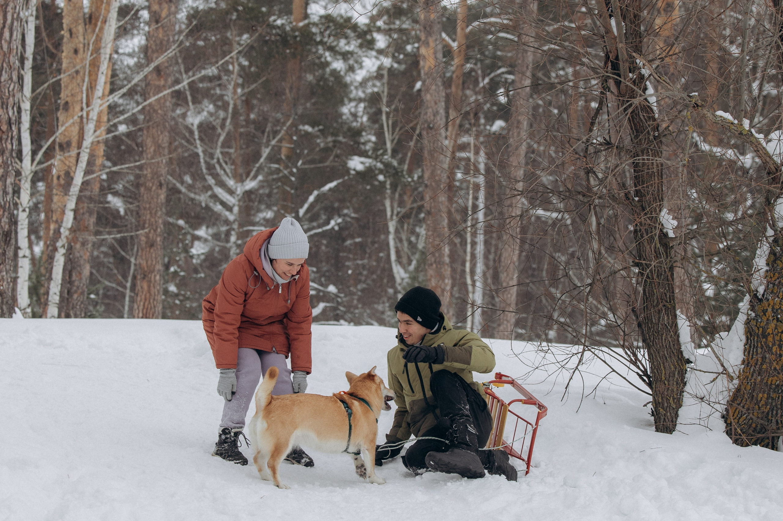 Прогулка на озере зимой. Фотограф анималист в Казани Алина Сулейманова. Фотограф животных