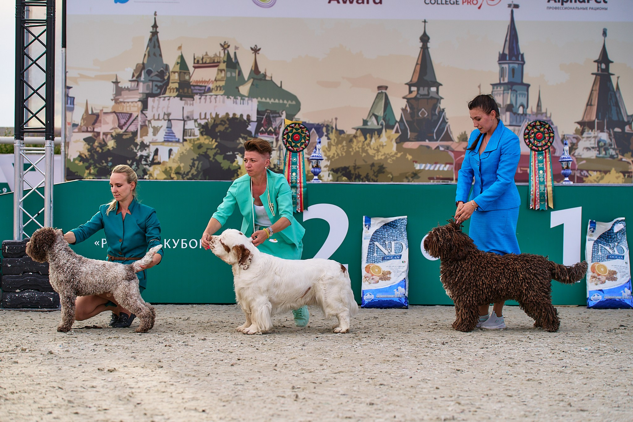 09.06.2024, «РОССИЯ. КУБОК МОСКВЫ 2024 & КУБОК ГОРОДОВ-ГЕРОЕВ»