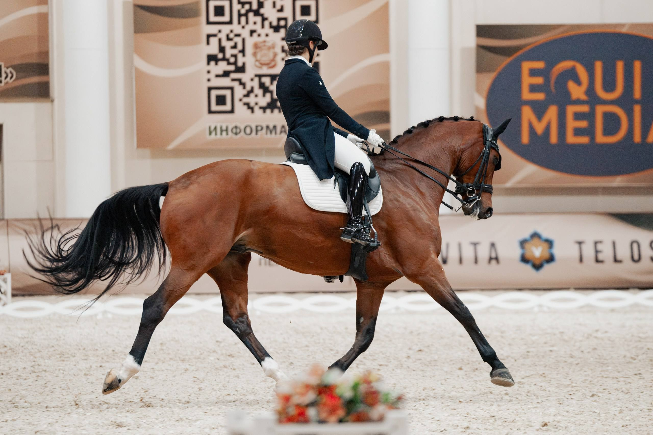 МЕЖДУНАРОДНЫЕ СОРЕВНОВАНИЯ по ВЫЕЗДКЕ КСК «Виват, Россия!». Куракина Дарья • Конный фотограф