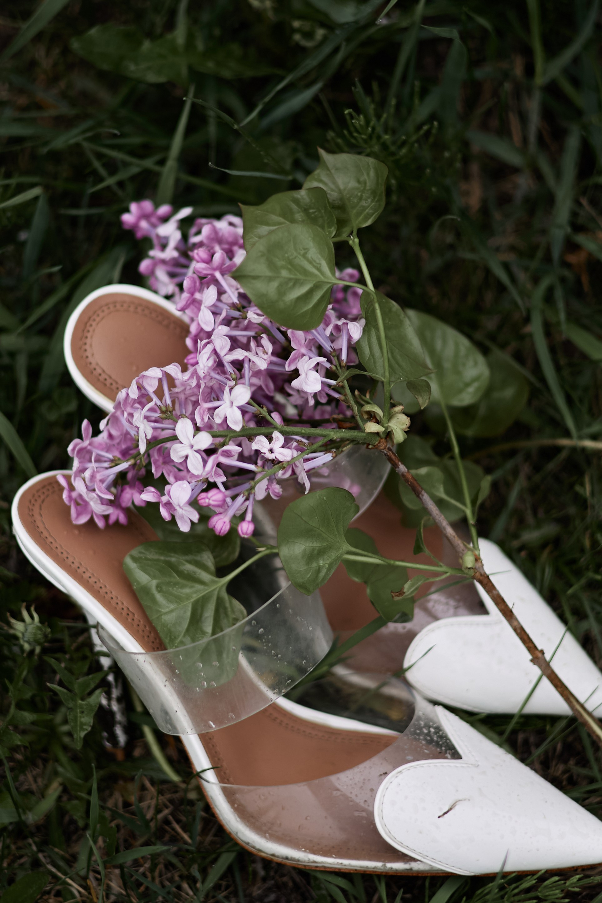Ольга и сирень. Фотограф женского портрета, беременности и материнства Харькова Елена