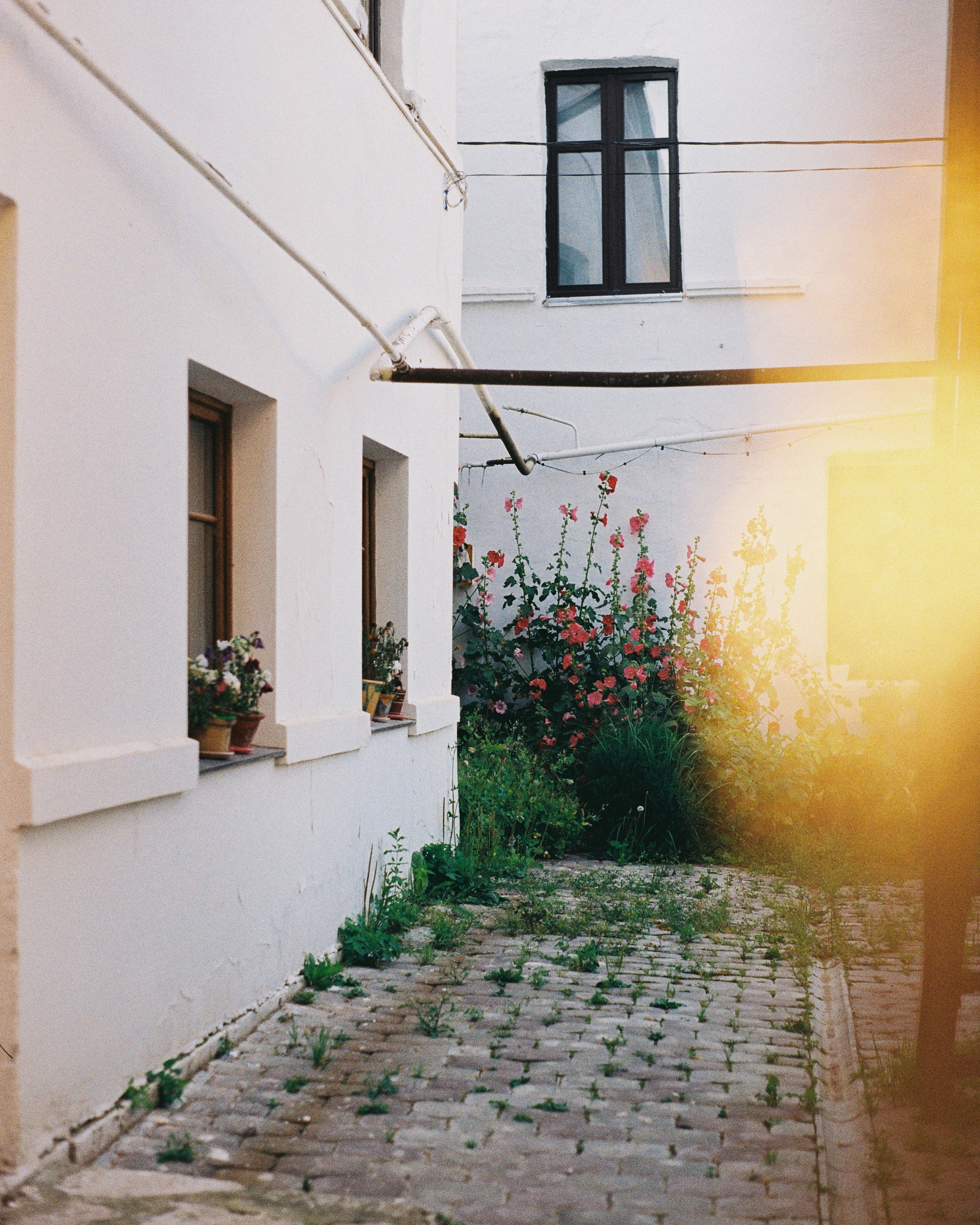 SUZDAL. ANNA — PHOTOGRAPHER