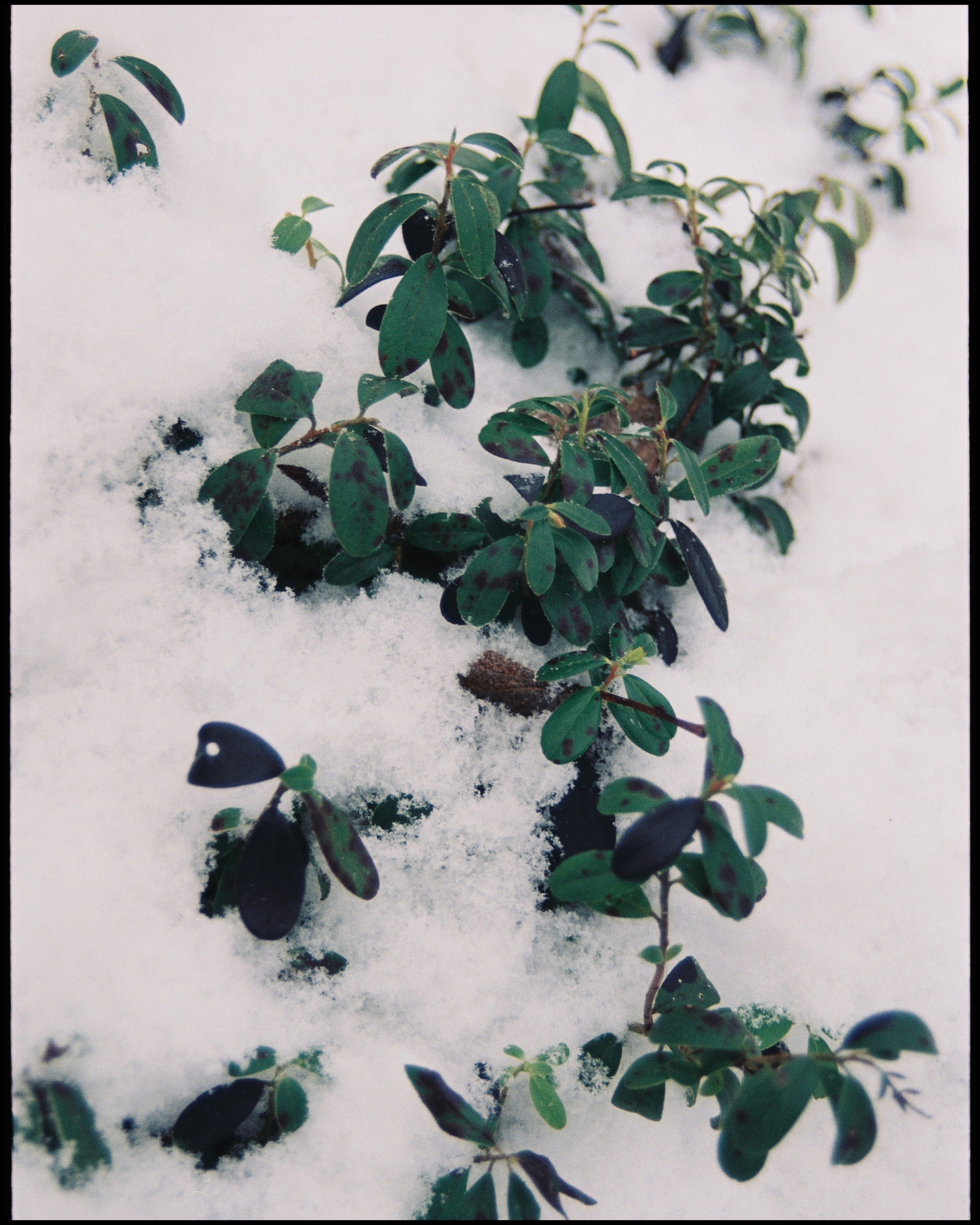 KARELIA. ANNA — PHOTOGRAPHER