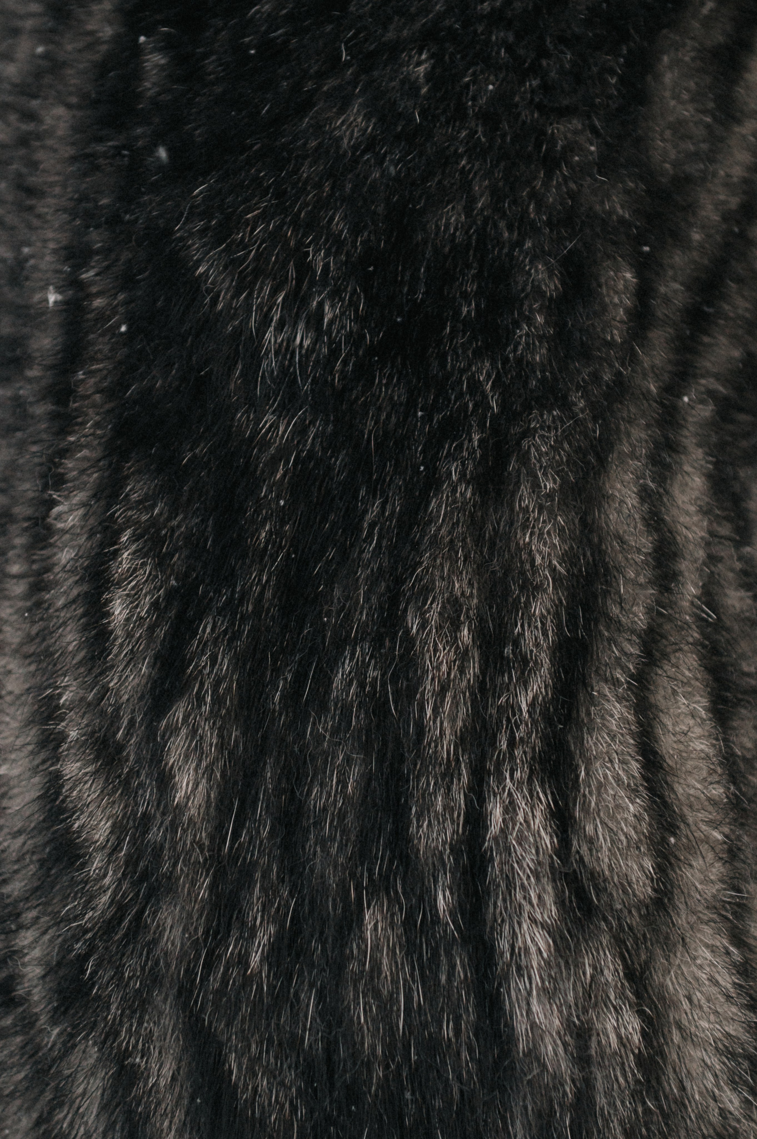 Люда и хаски Тегра (Королев, 2024). Анна Пушина, фотограф, Москва, Королев, Пушкино