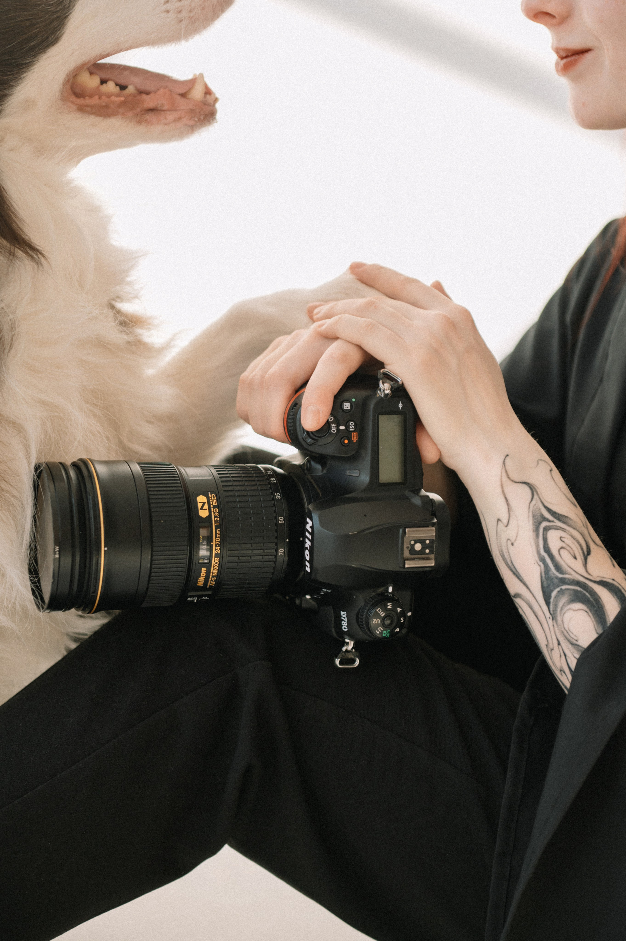 Аня и бордер-колли Вик (Королев, 2025). Анна Пушина, фотограф, Москва, Королев, Пушкино