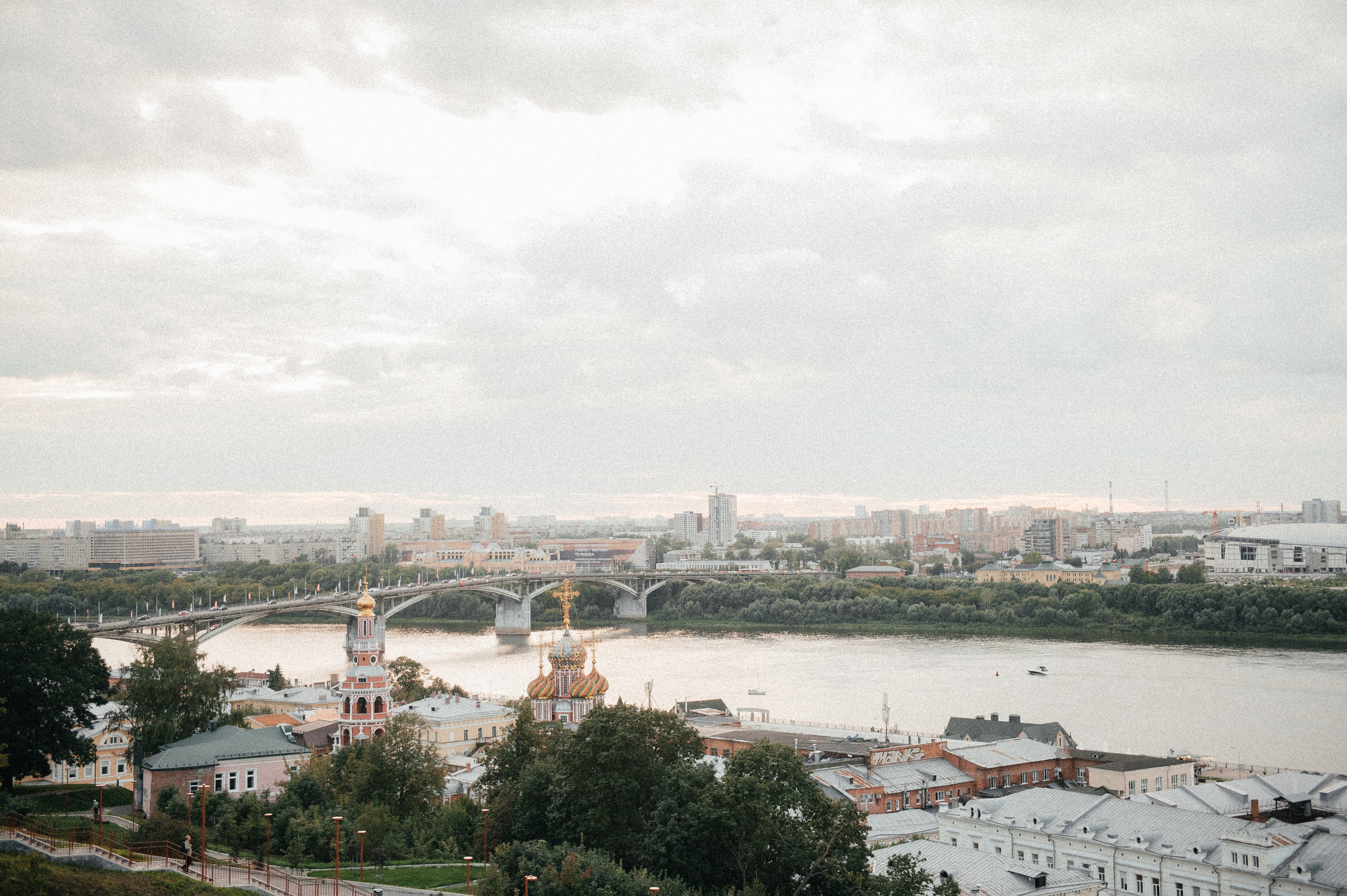 Лера, Илья и чихуахуа Наоми (Нижний Новгород, 2024). Анна Пушина, фотограф, Москва, Королев, Пушкино