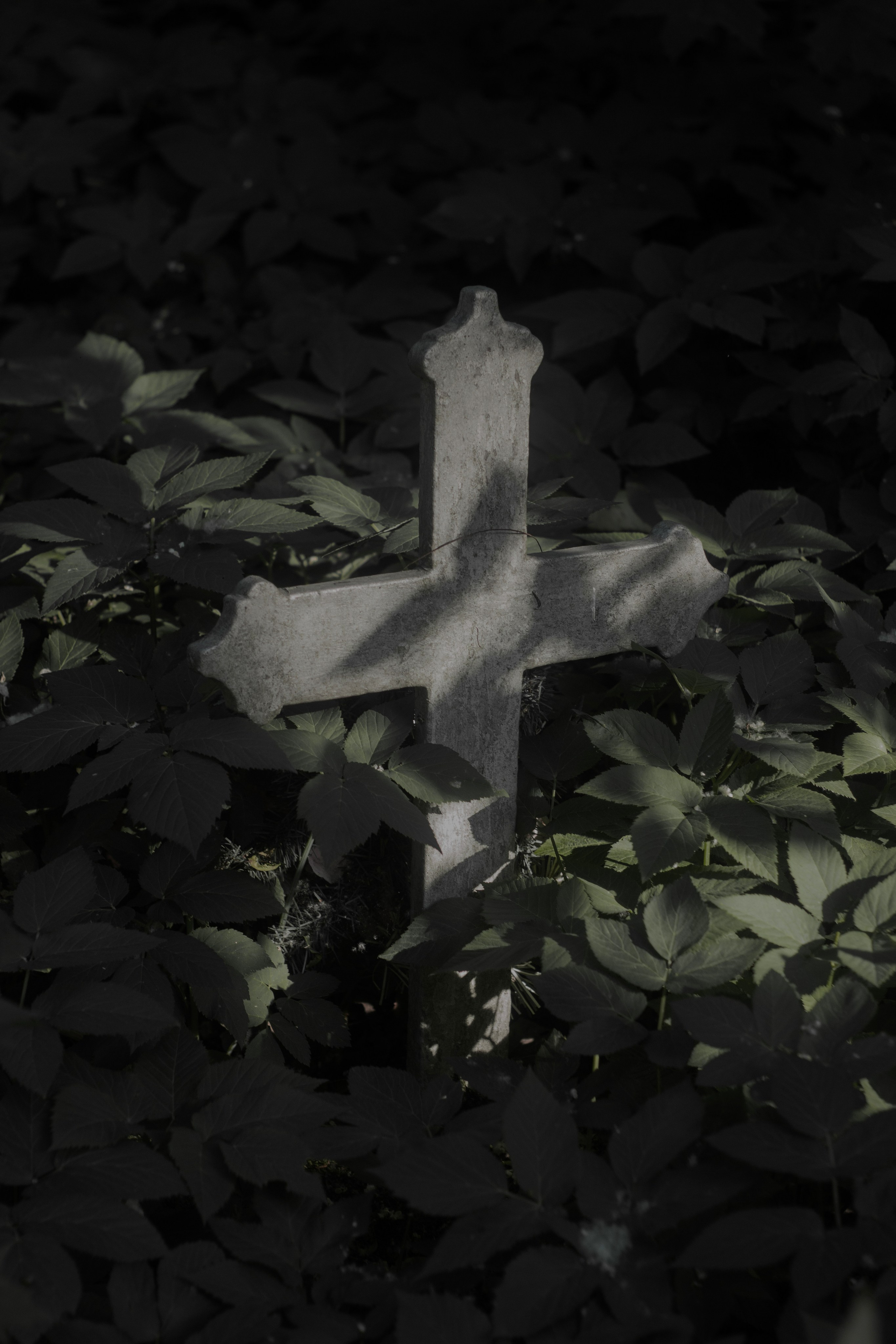 Милена, тату-мастер и художница. Контент-фотограф для творческих единиц и мастеров в Санкт-Петербурге