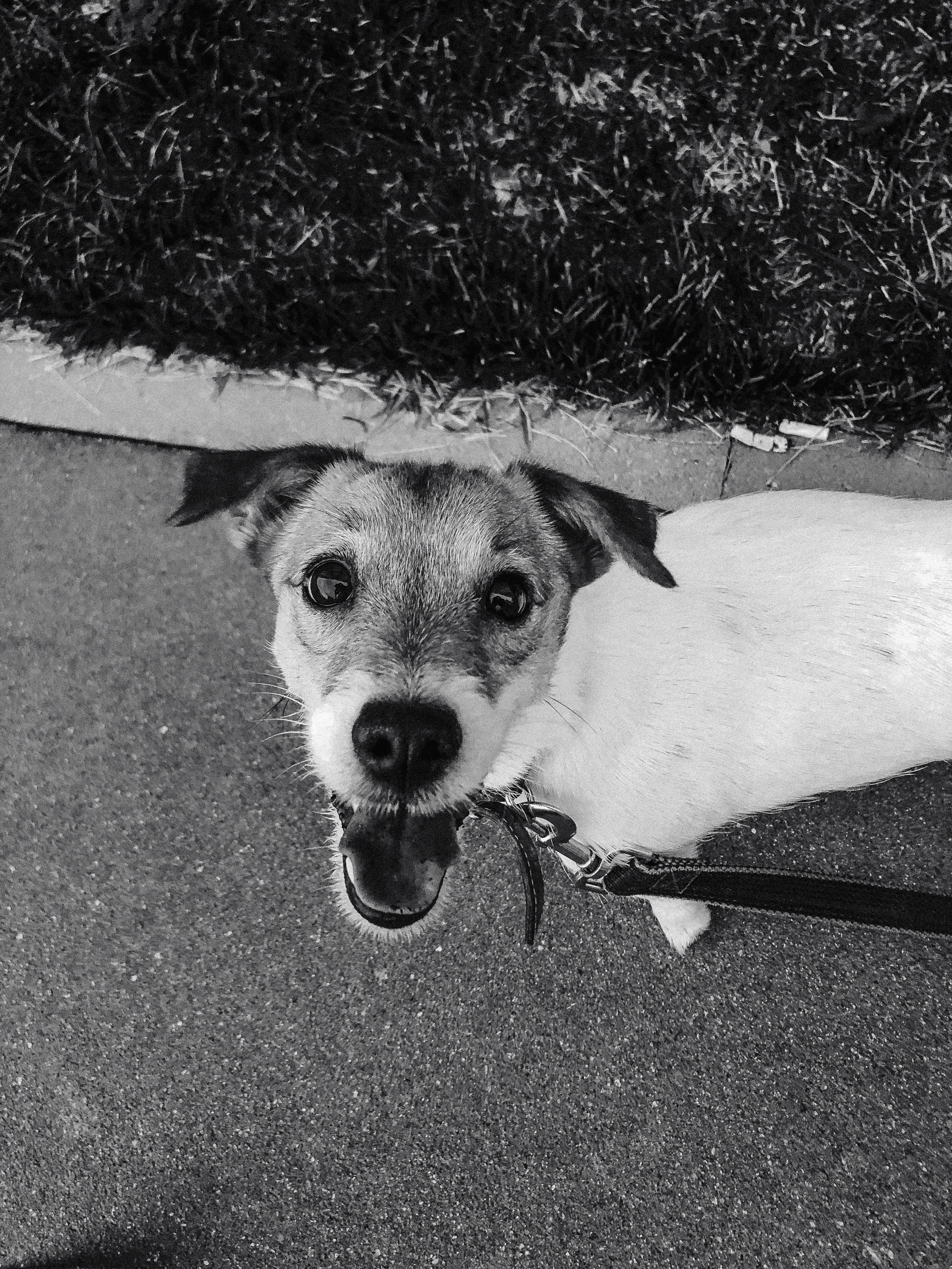 Yōko. Семейный фотограф в Москве Вики О»