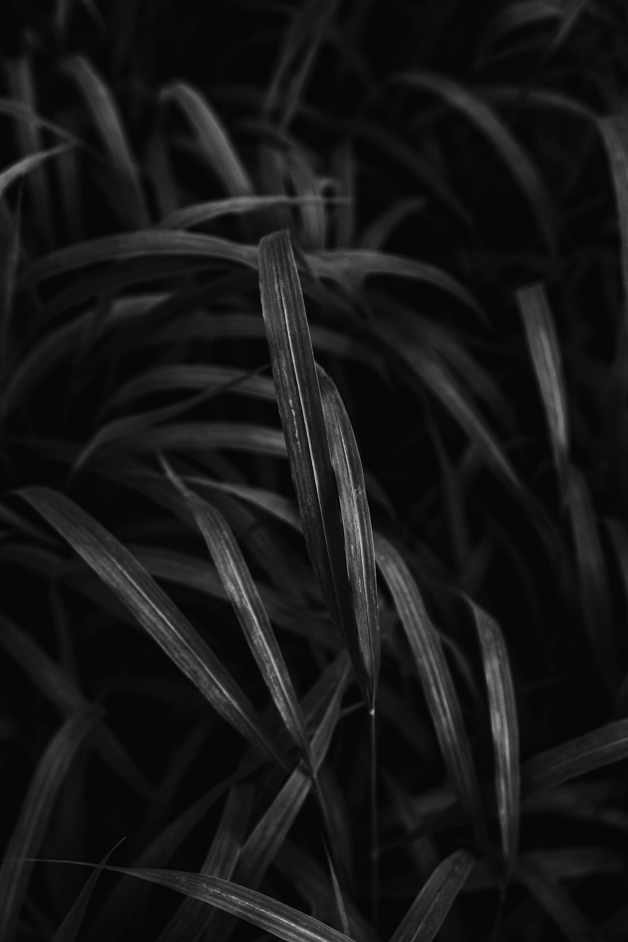 Жизнь. Фотограф Алматы | Весь мир — Никита Колодин