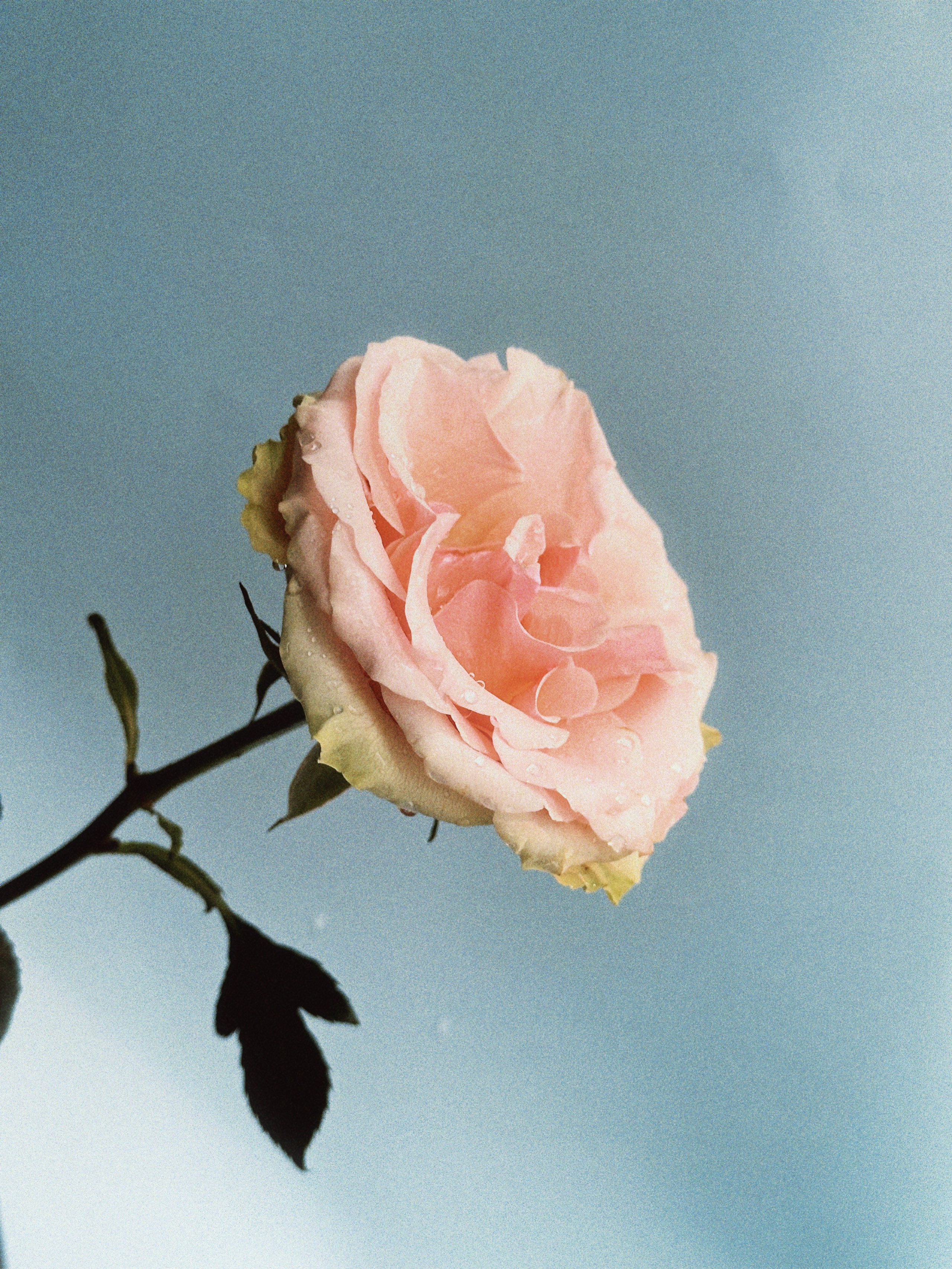 Предметная съёмка. Чувственный мобильный фотограф в Казани и Сочи Дьяченко Дарья