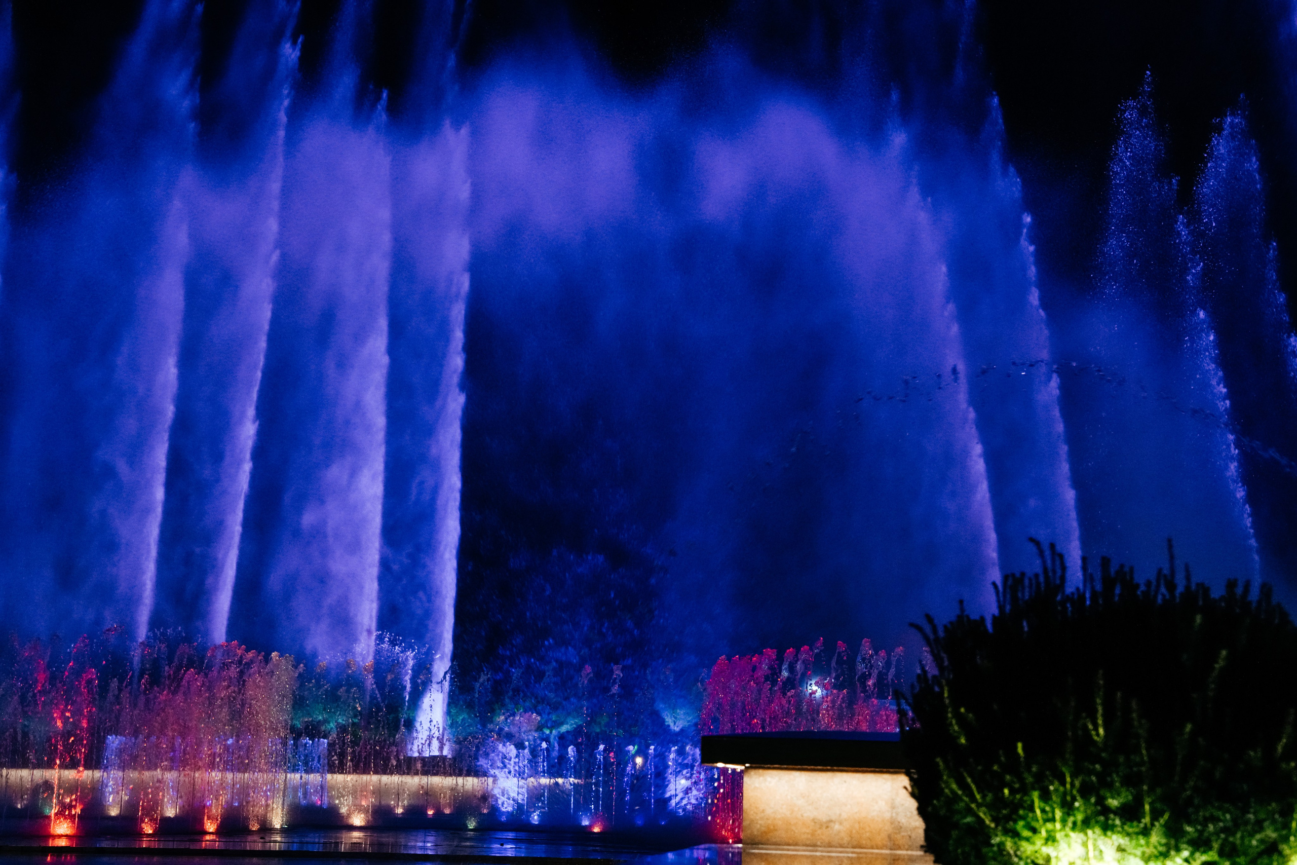 Форум Традиций. Omar Shapiev