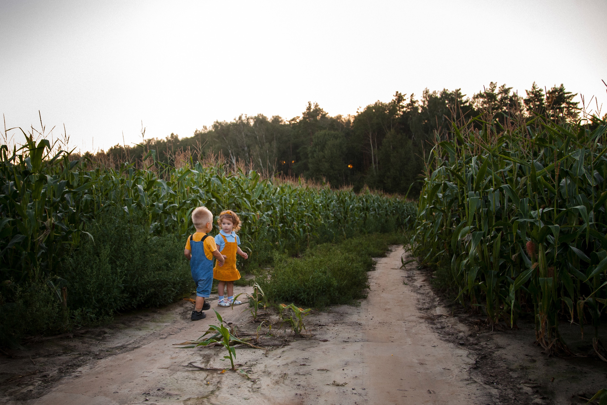 Миша и Маша. Портретный, семейный, свадебный фотограф в Брянске Маргарита Василькова