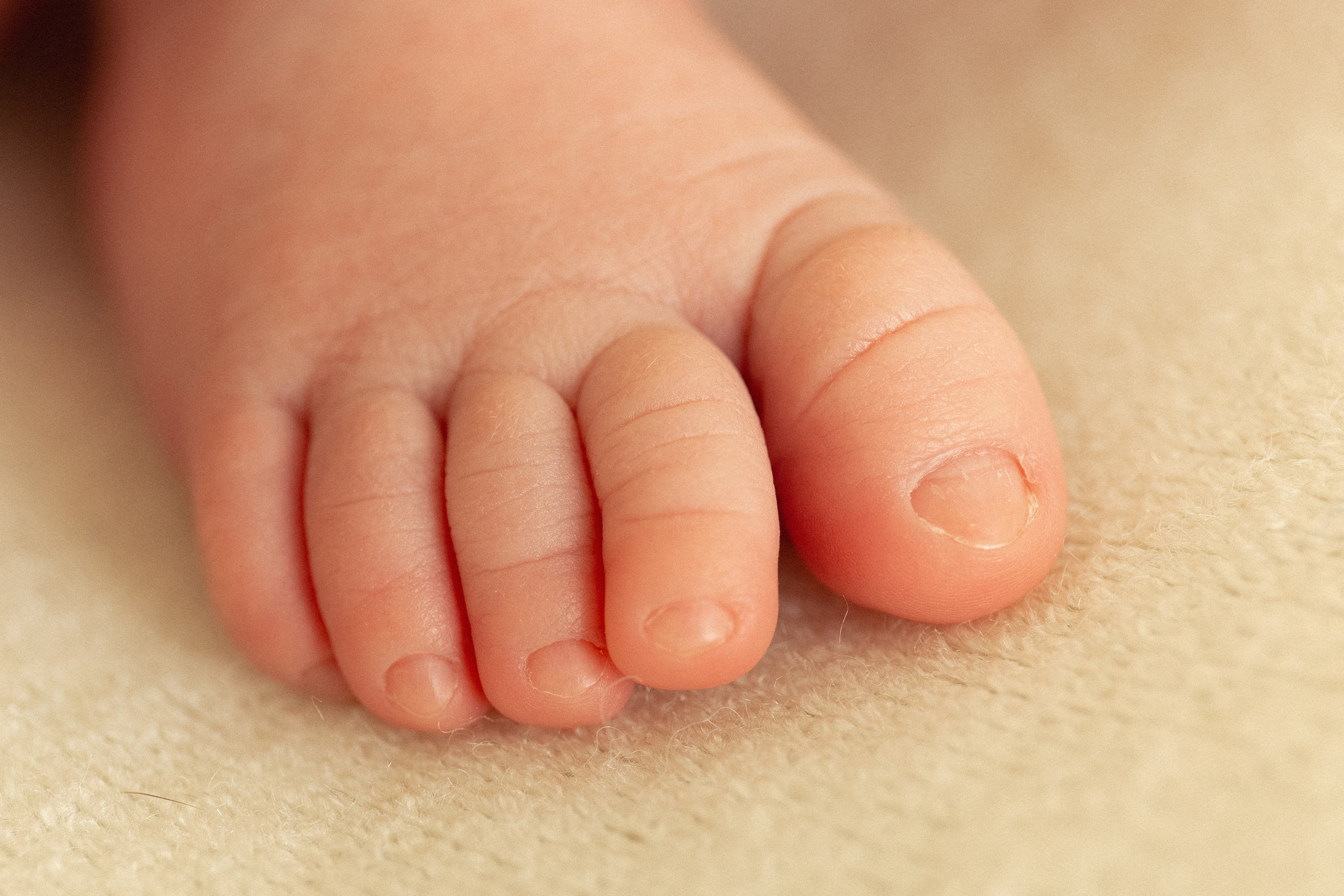 Фотосессия новорожденных в Мурманске, фотограф новорожденных. Мария Махинина — фотограф в Мурманске и Североморске