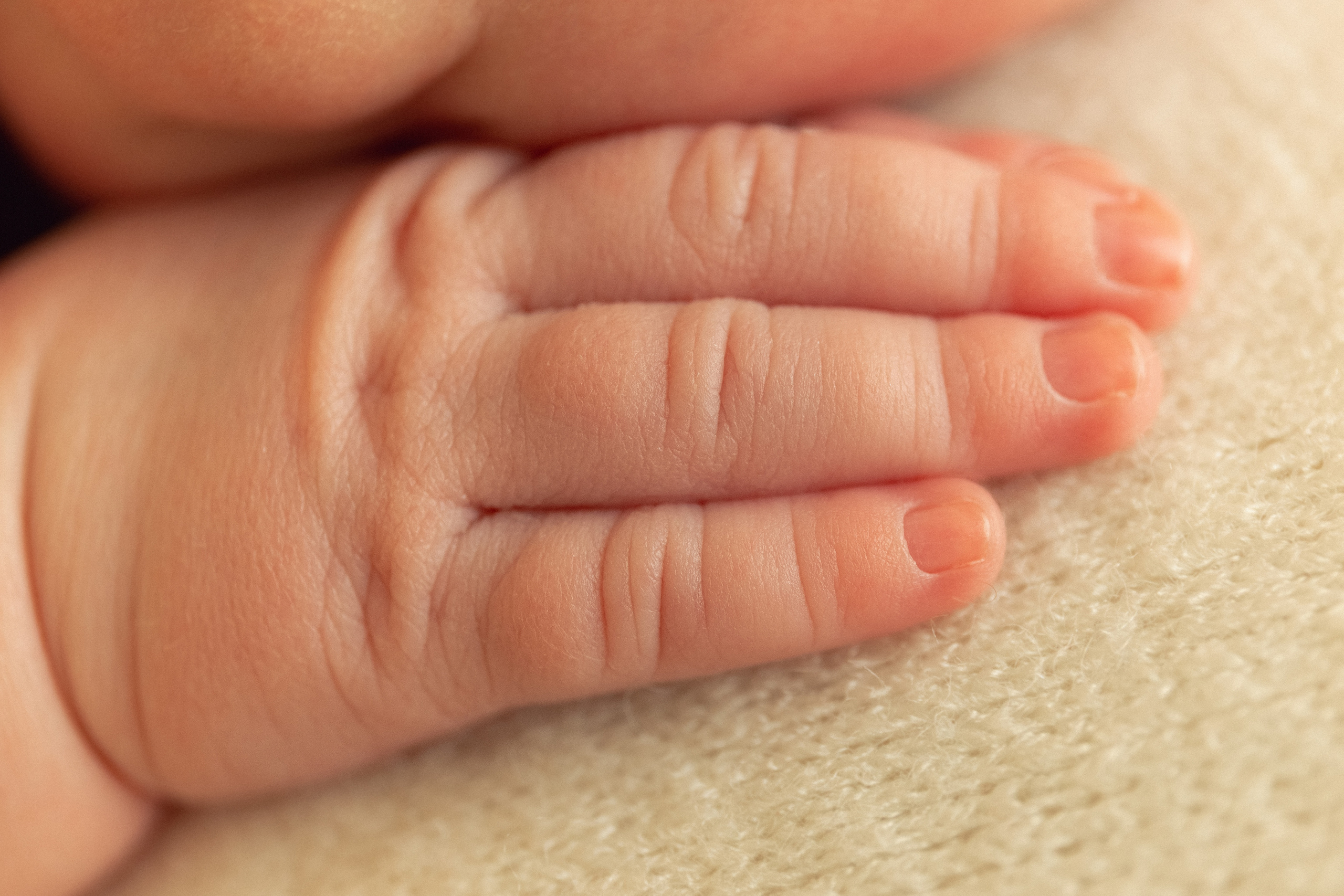 Фотосессия новорожденных в Мурманске, фотограф новорожденных. Мария Махинина — фотограф в Мурманске и Североморске