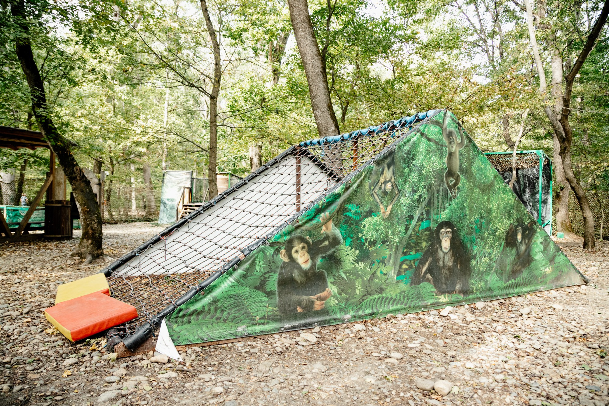 Игра «Джуманджи» от банка ВТБ. Репортажный, промышленный и маркетплейс-фотограф Дмитрий Чернат