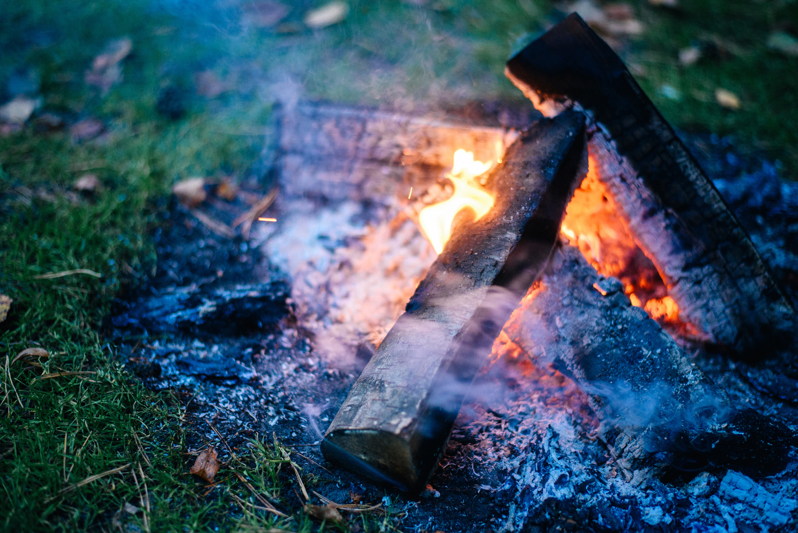 Фотосессия love story на природе. Фотограф Москва