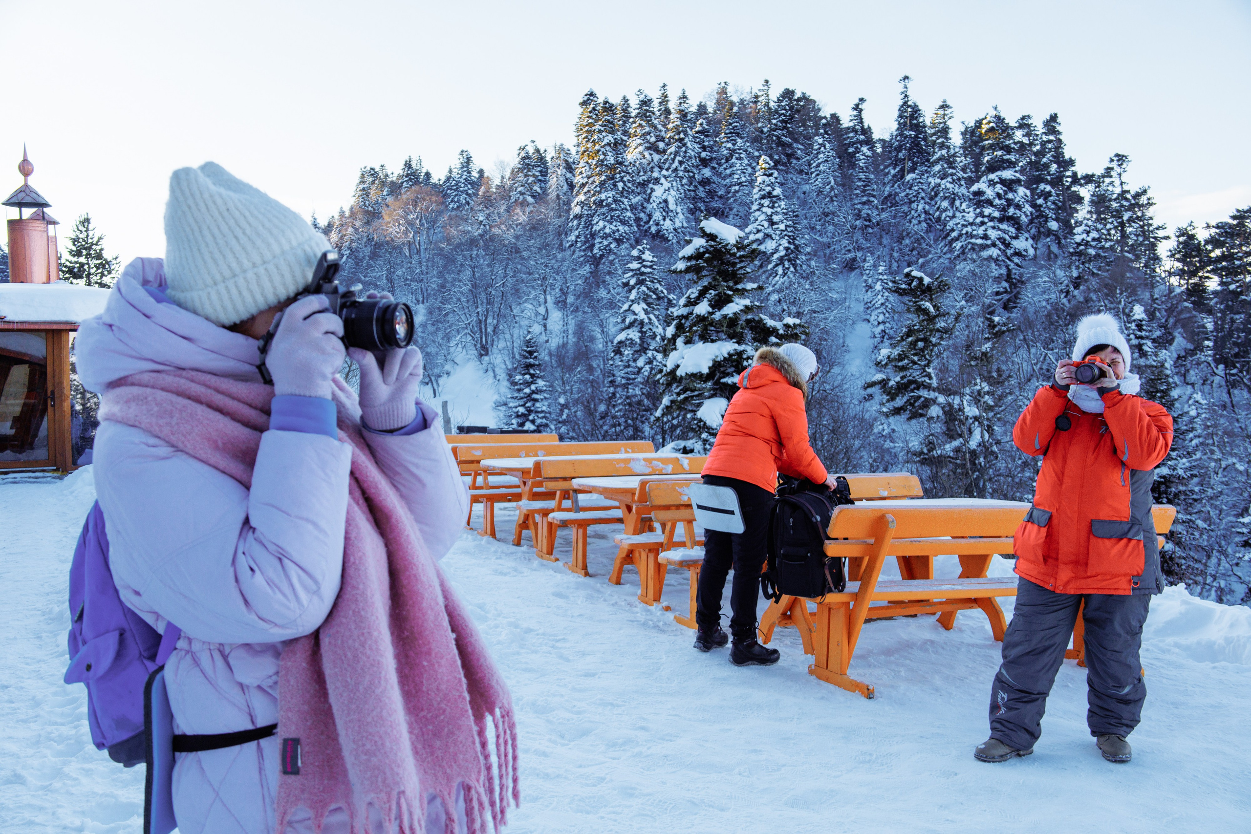 Адыгея. Лаго-Наки 27.01.24. Фотограф katya_vkadre Таганрог