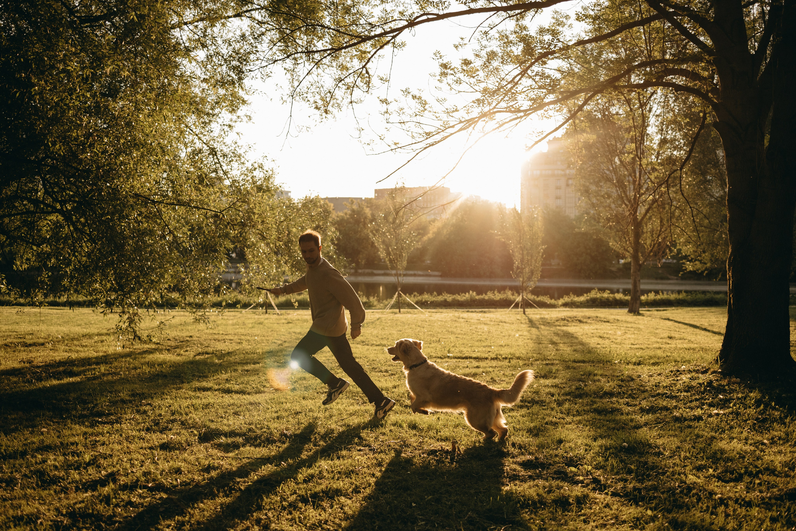 Пенни и ребята. Фотограф — Анималист | Санкт-Петербург