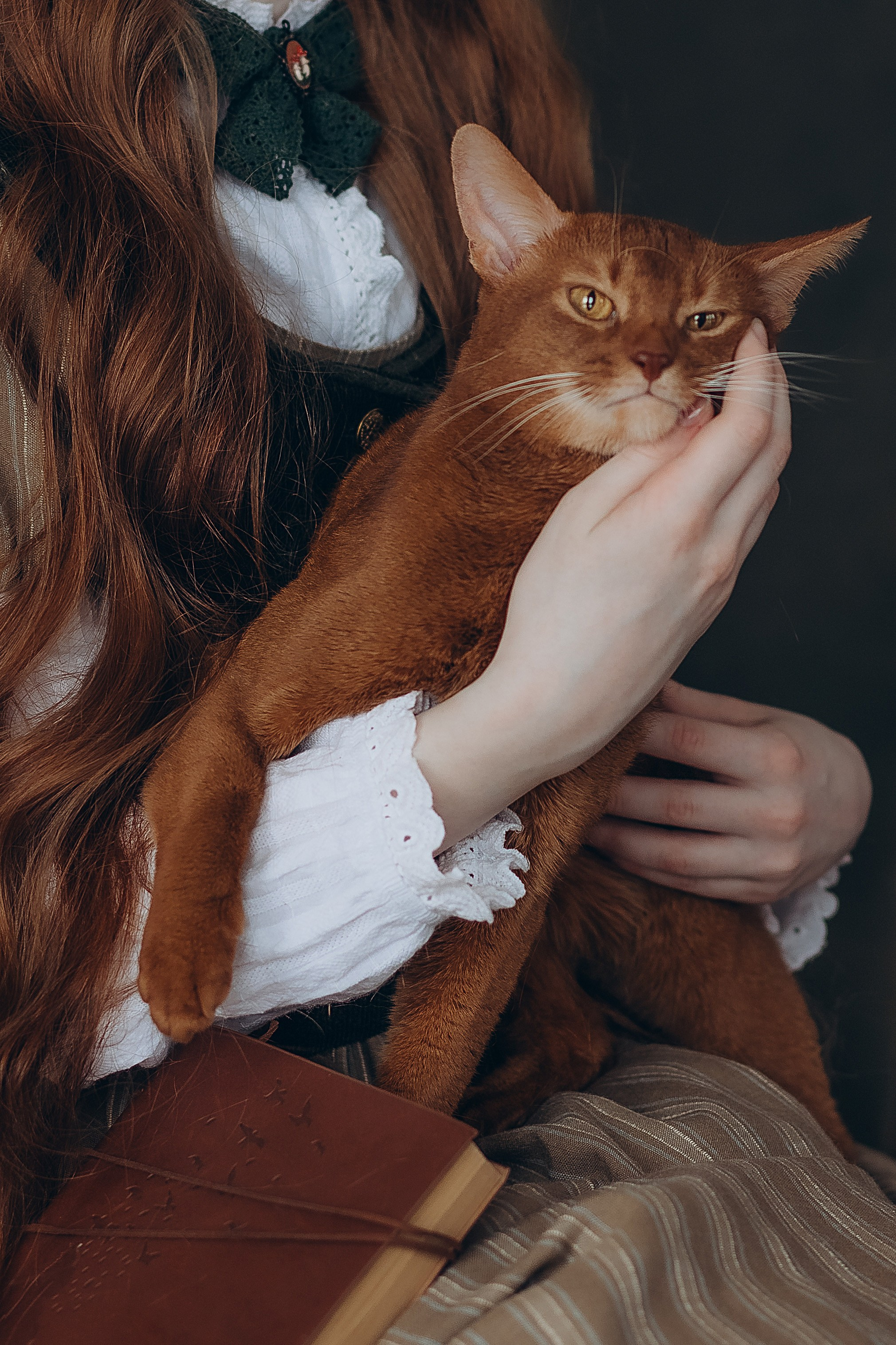 «Лучшие друзья». Фотограф Алина Ионычева в Новосибирске