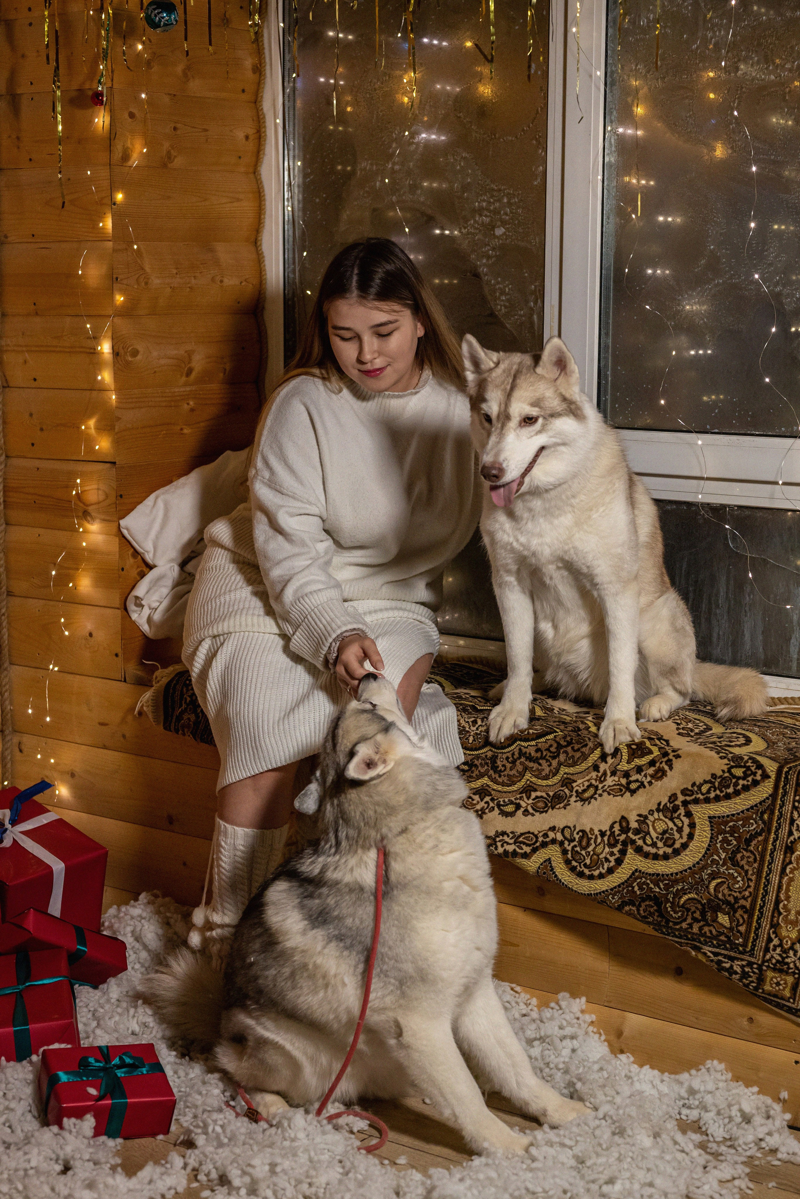 Фотопроект с хаски 2024 г. Фотограф в городе Салават