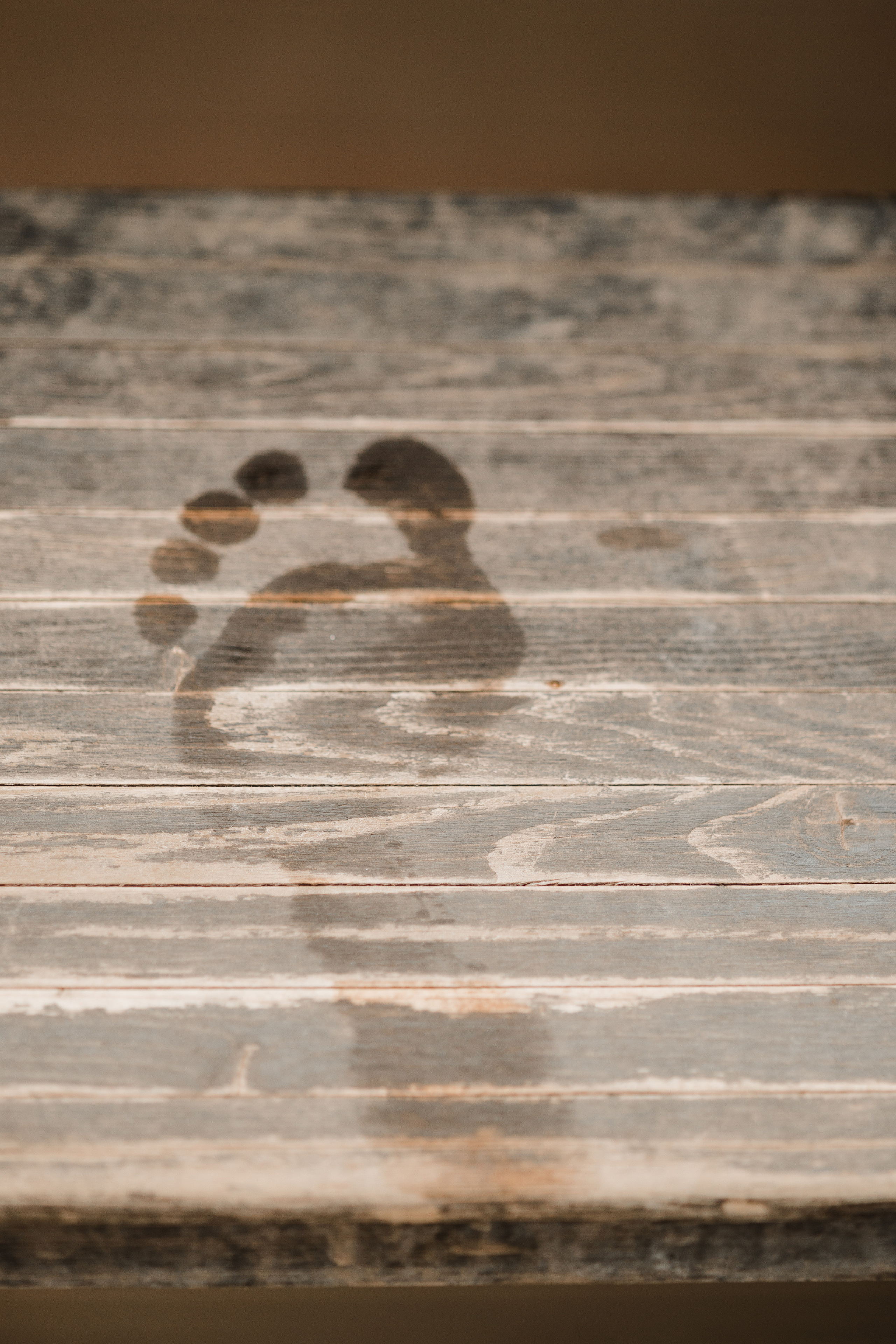 Михаил & Ксения. Свадебный и семейный фотограф в Краснодаре и крае