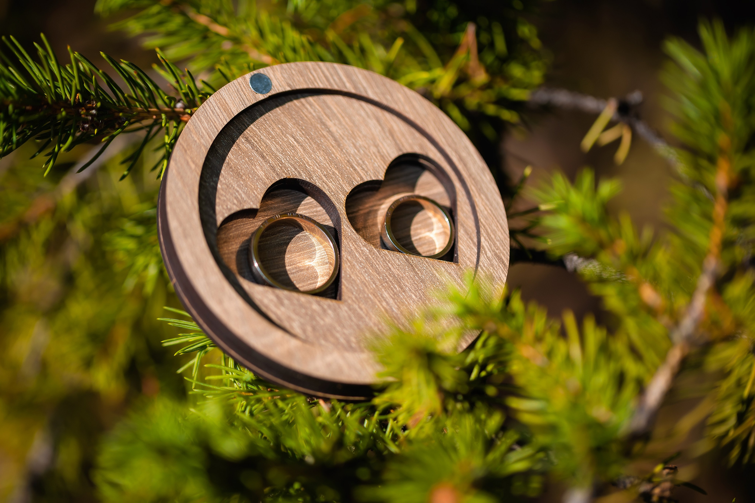 Прогулочная в Астане 20 минут. Семейный и Свадебный фотограф в Астане Александр Астапов