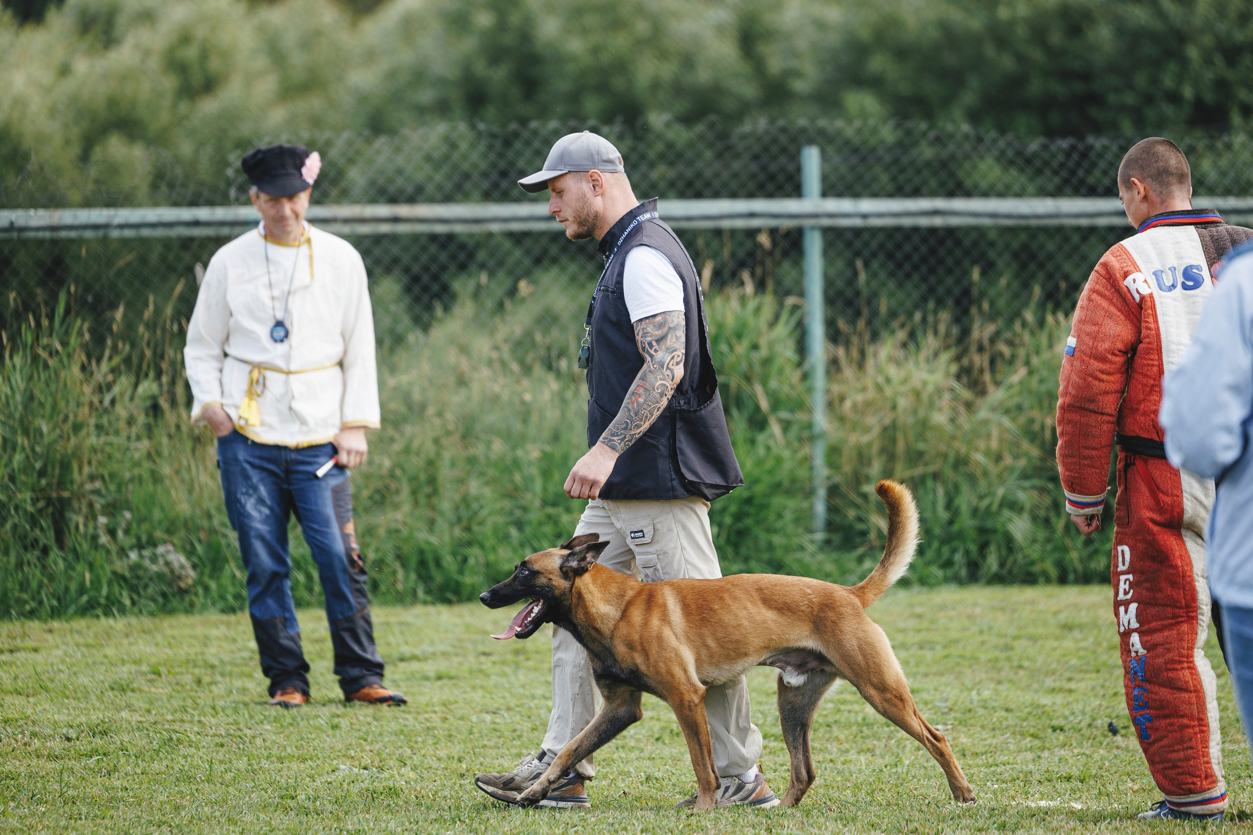 08.08.25-10.08.25 ЧР по мондьорингу г. Вологда. Фотограф-анималист Анна Маринич