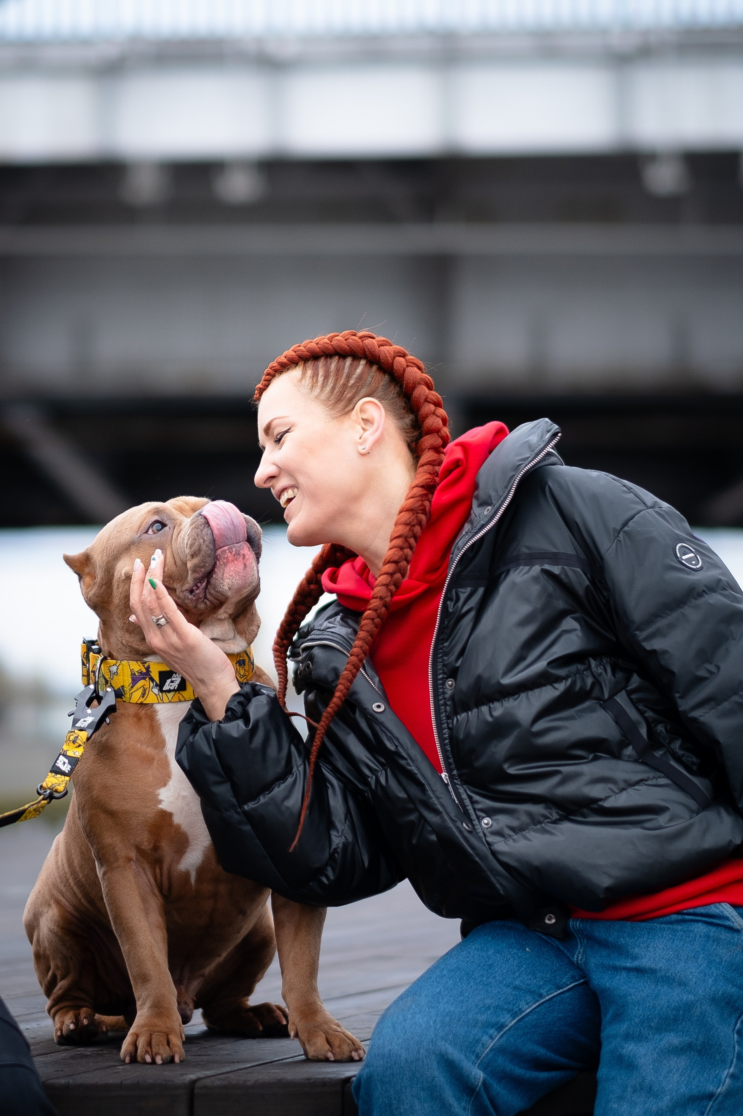 Спай и его семья. Фотограф и видеограф анималист Аганина Дарья
