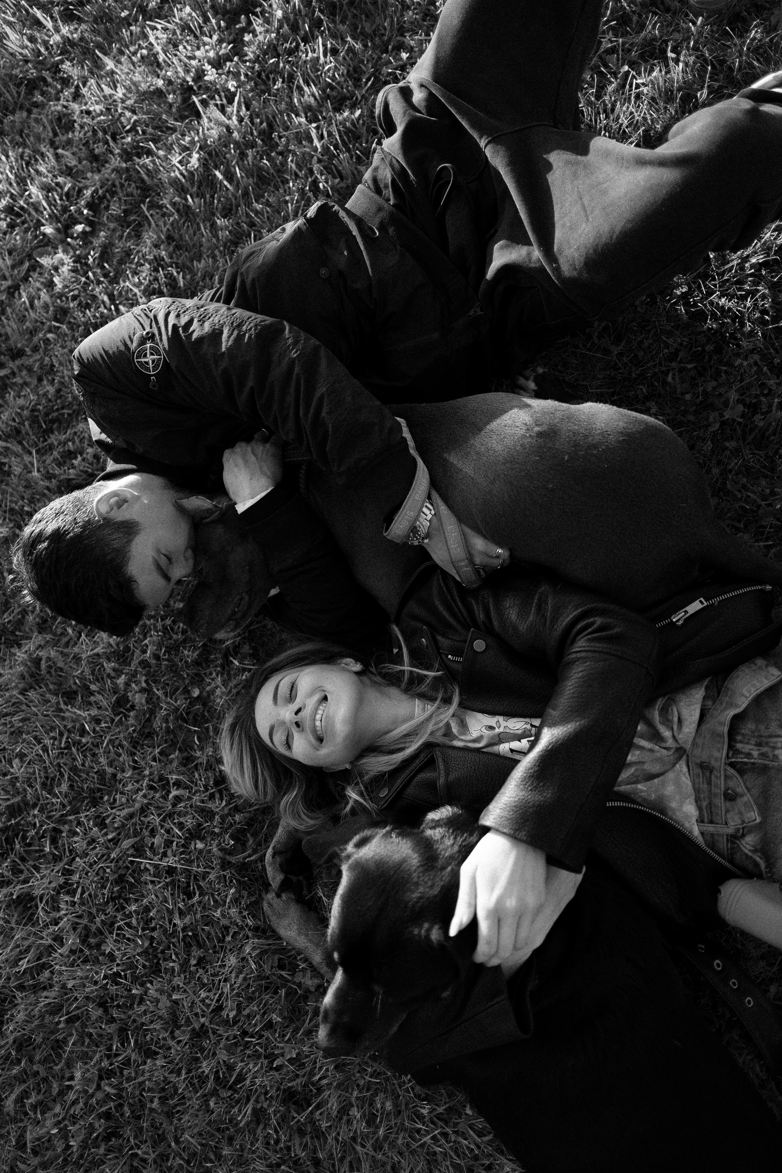 Катя, Леша, Лея и Трой. Фотограф и видеограф анималист Аганина Дарья