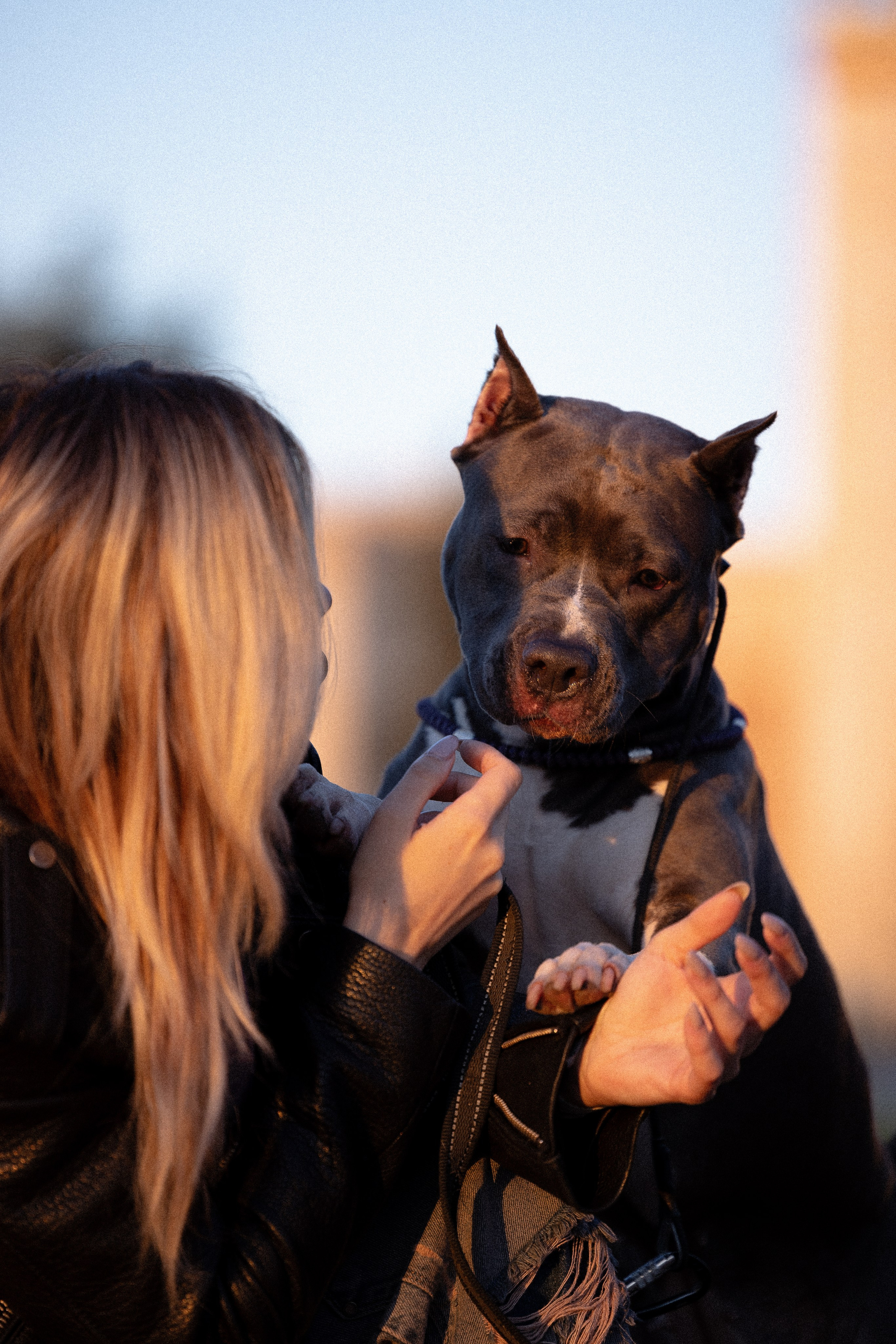 Катя, Леша, Лея и Трой. Фотограф и видеограф анималист Аганина Дарья