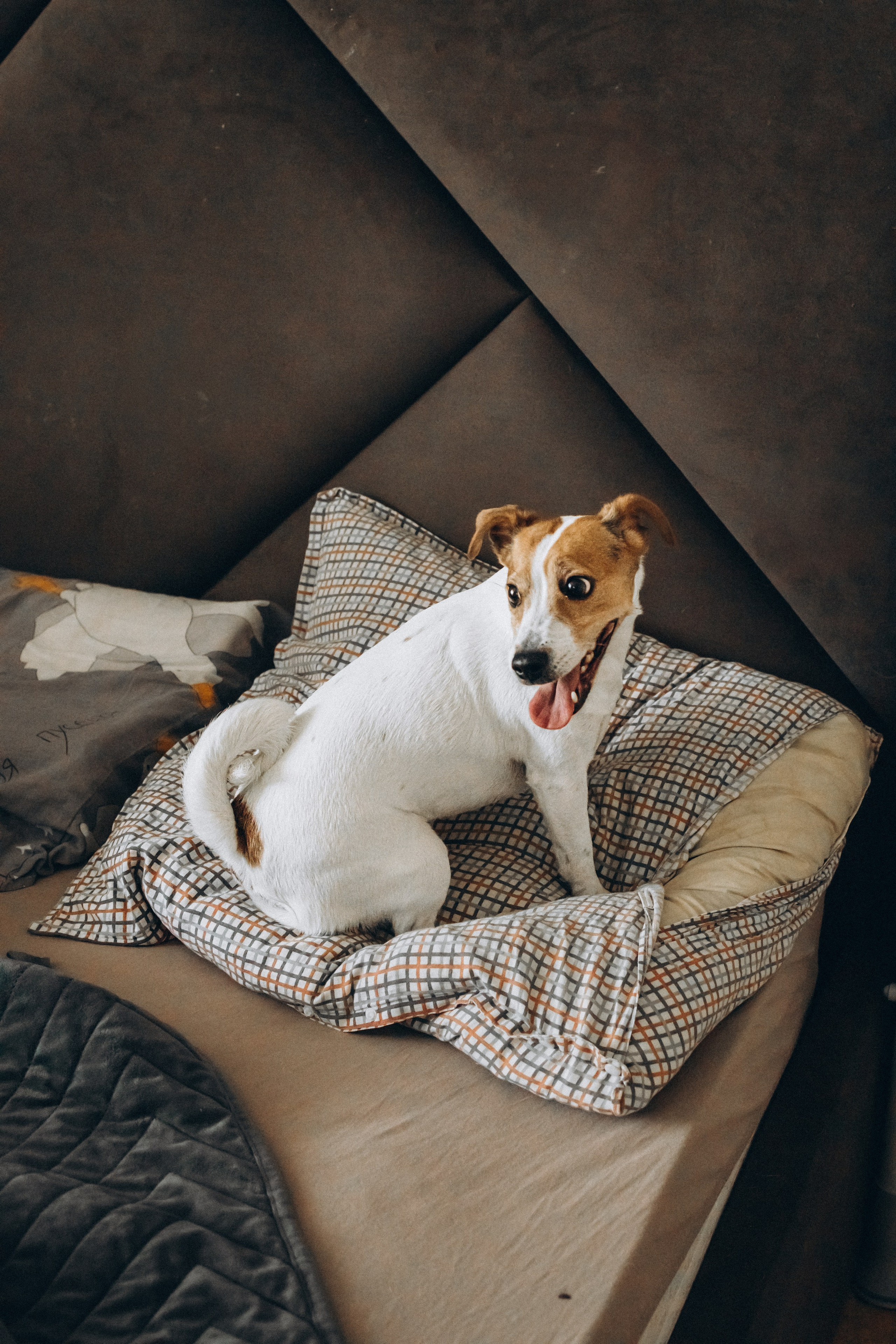 GOOD AT HOME. Фотограф Наталья Карякина|Челябинск