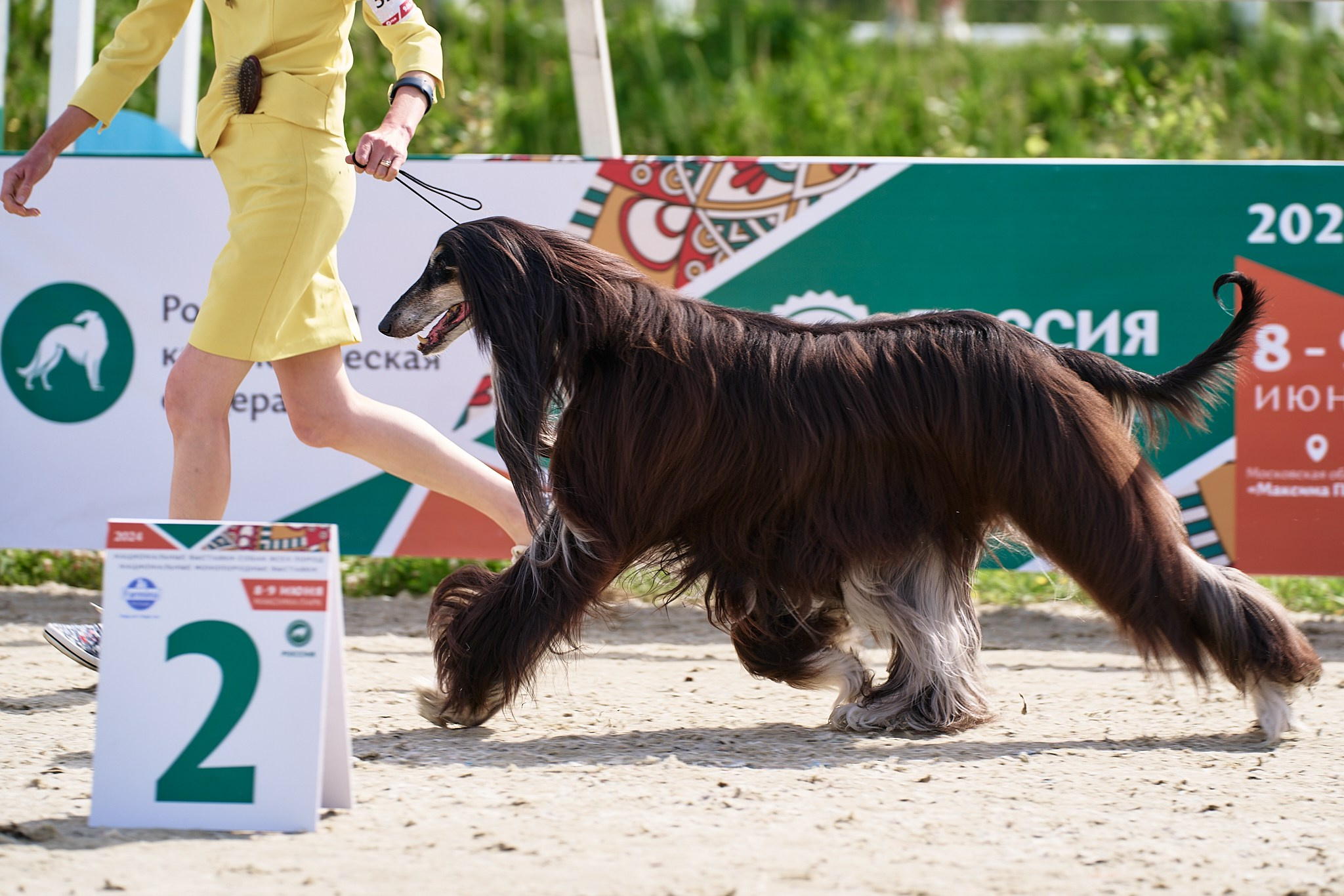 09.06.2024, «РОССИЯ. КУБОК МОСКВЫ 2024 & КУБОК ГОРОДОВ-ГЕРОЕВ»