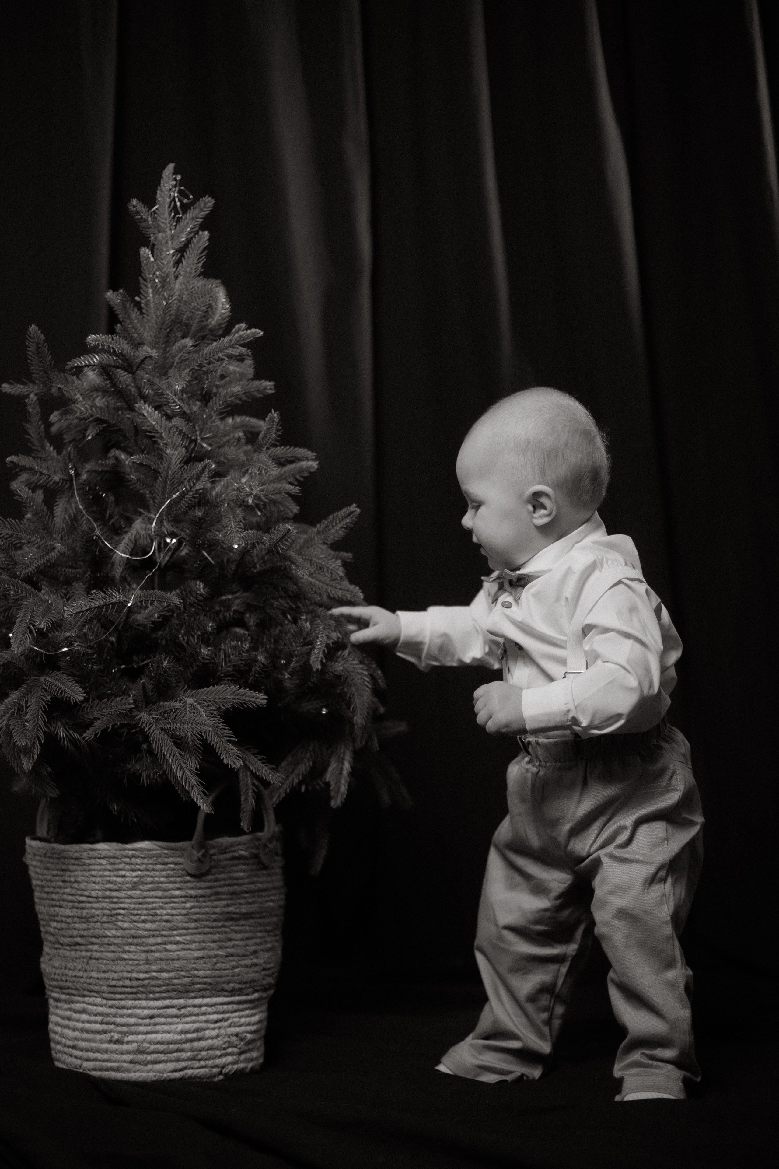 Катя + Сергей + Илюша. Семейный и детский фотограф Юлия Шох