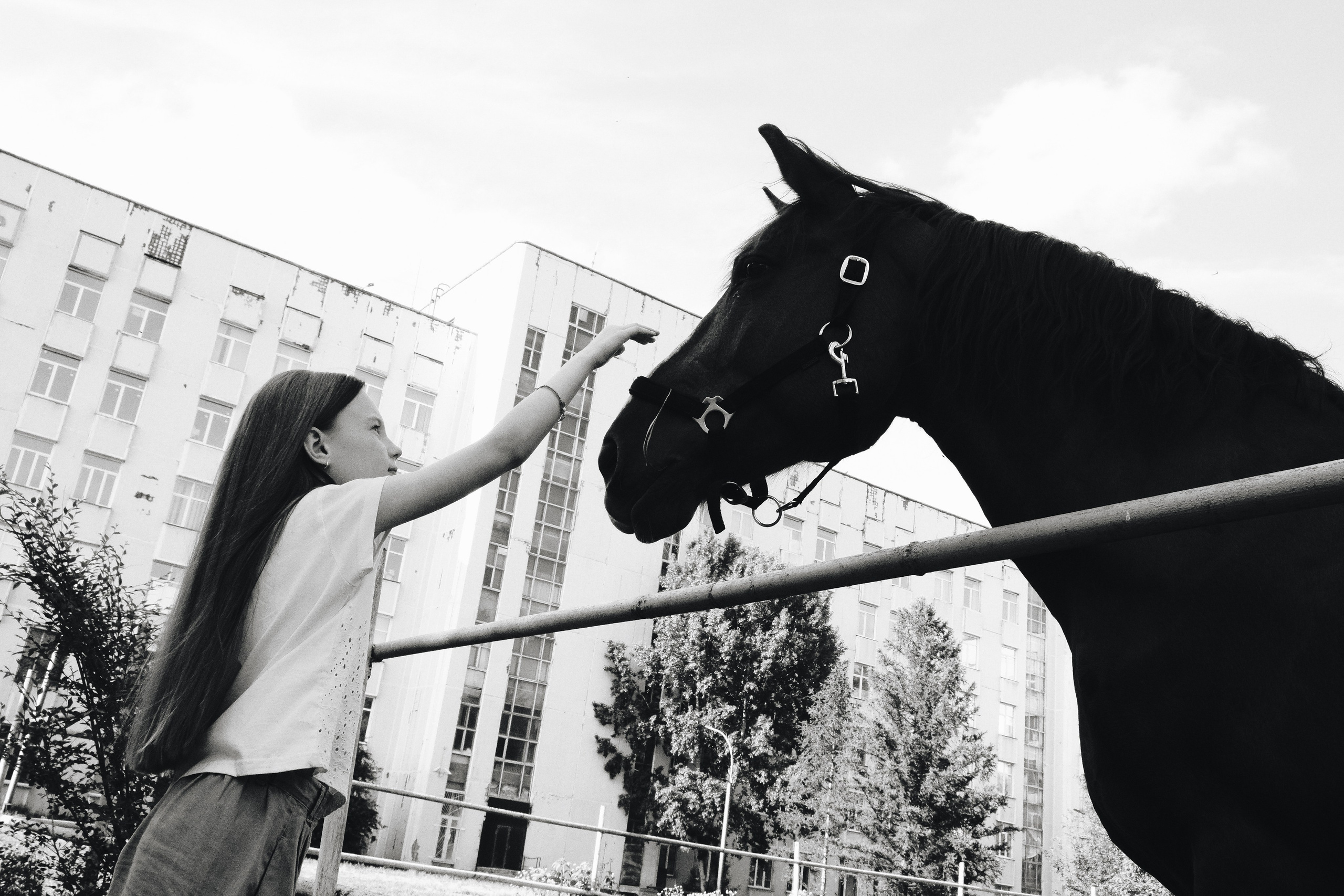 Кристина и Стас. Фотограф Наташа Лисица