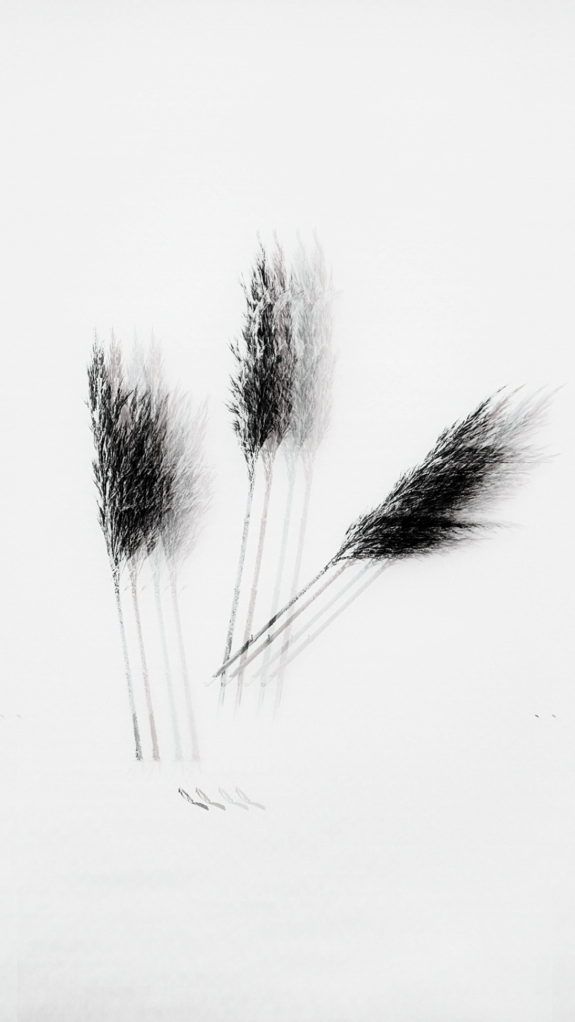 Затмение. Катерина Эделева