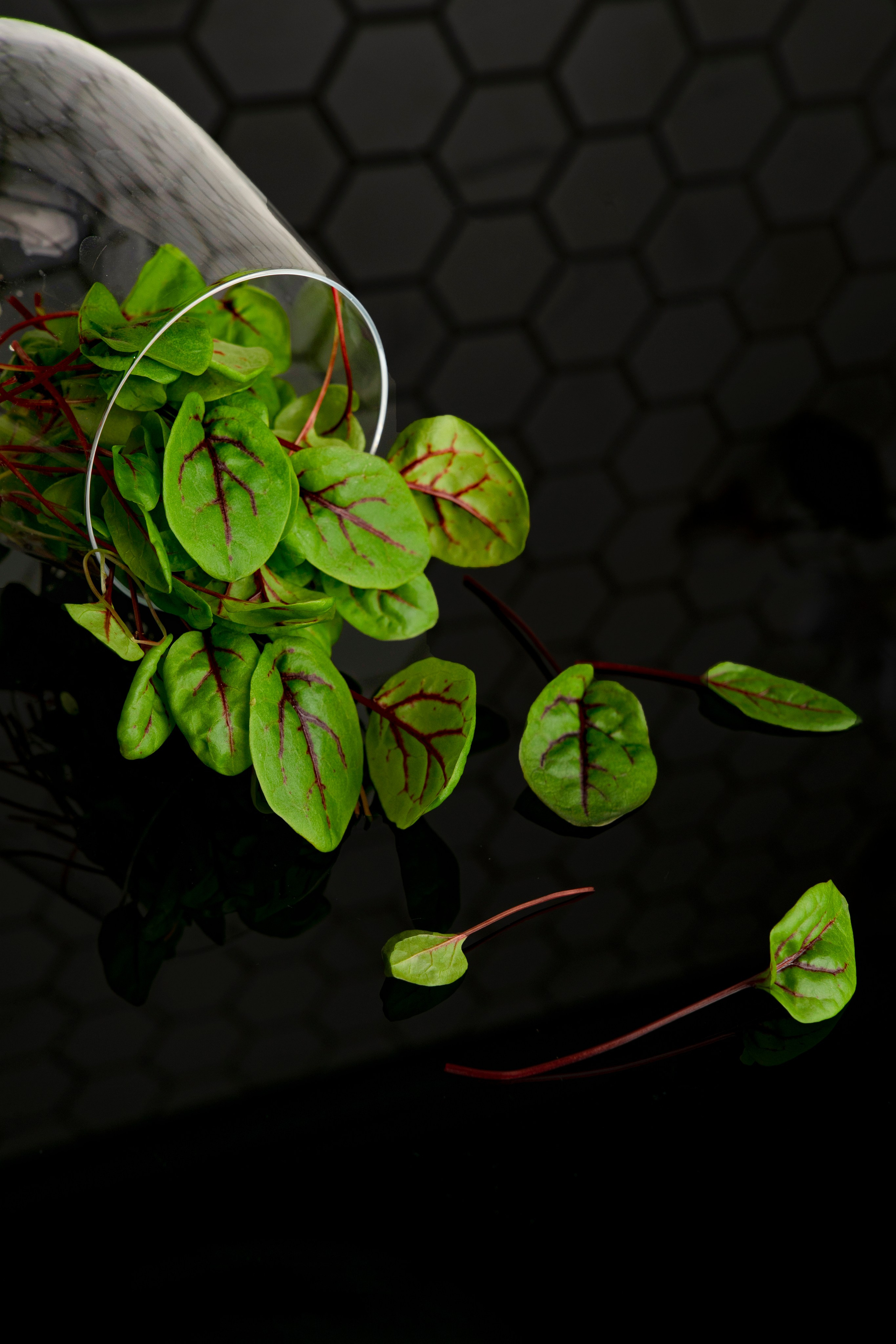 Фуд-фото. Фотосессия СПб. Фотограф Санкт-Петербург и Москва Дарья Лиховецкая