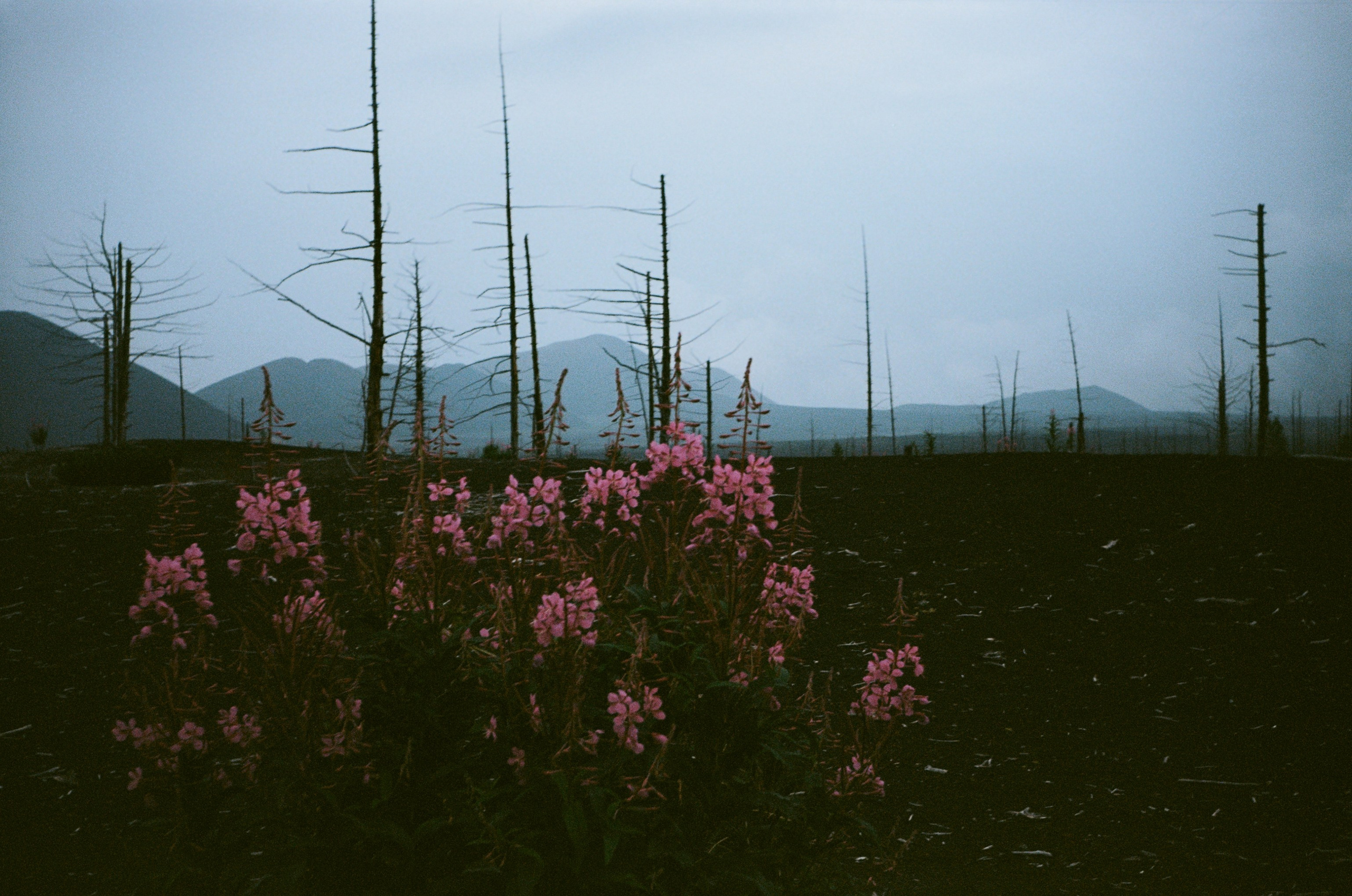 Камчатка на пленку. Travel-фотограф Ирина Милинцова