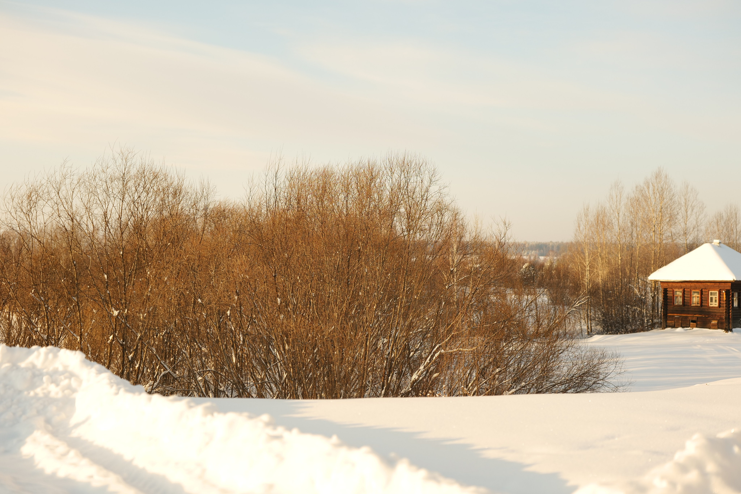 Верхотурье. Владимир Власюк